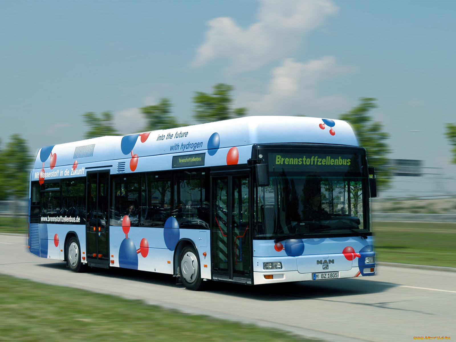 автомобили, автобусы