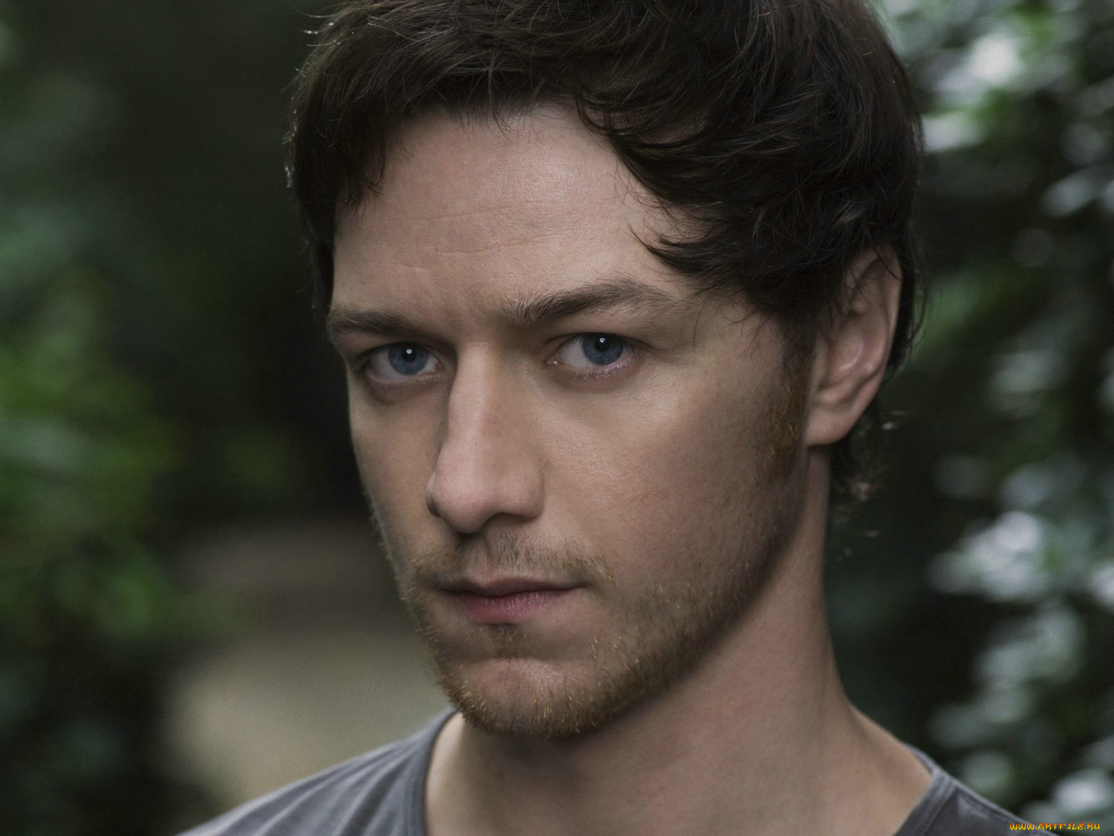 james, mcavoy, мужчины