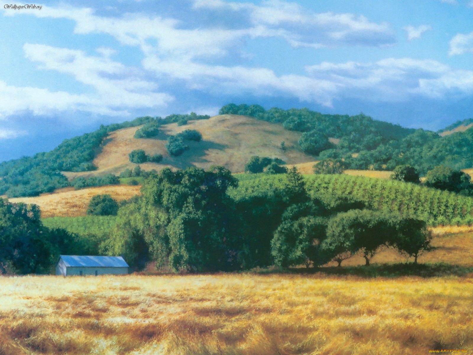 june, carey, рисованные