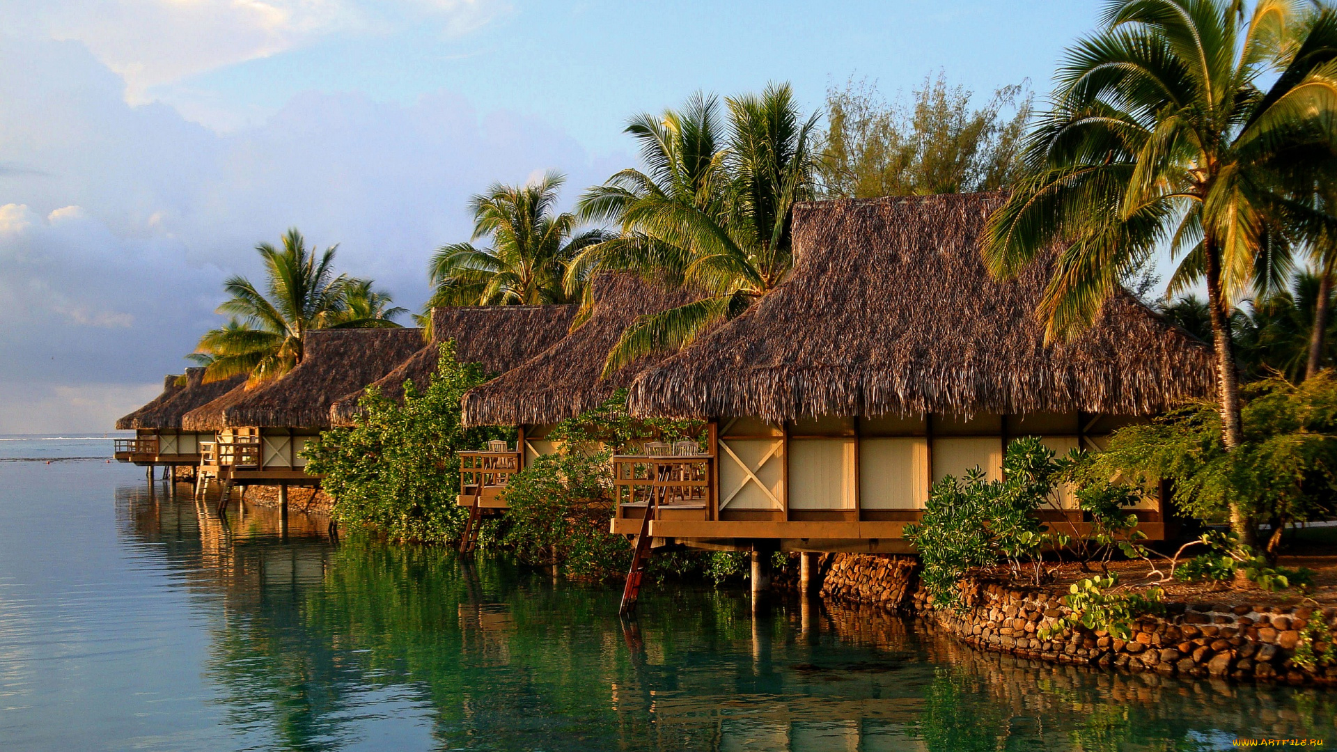 природа, тропики