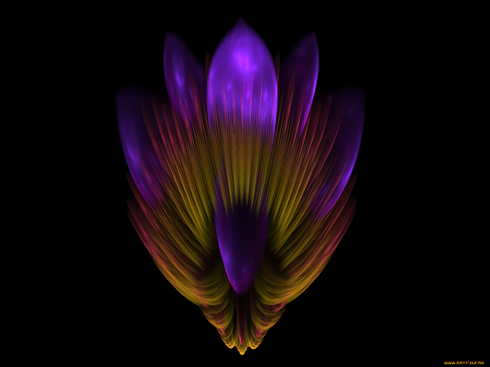 3д, графика, fractal, фракталы, цвета, фон