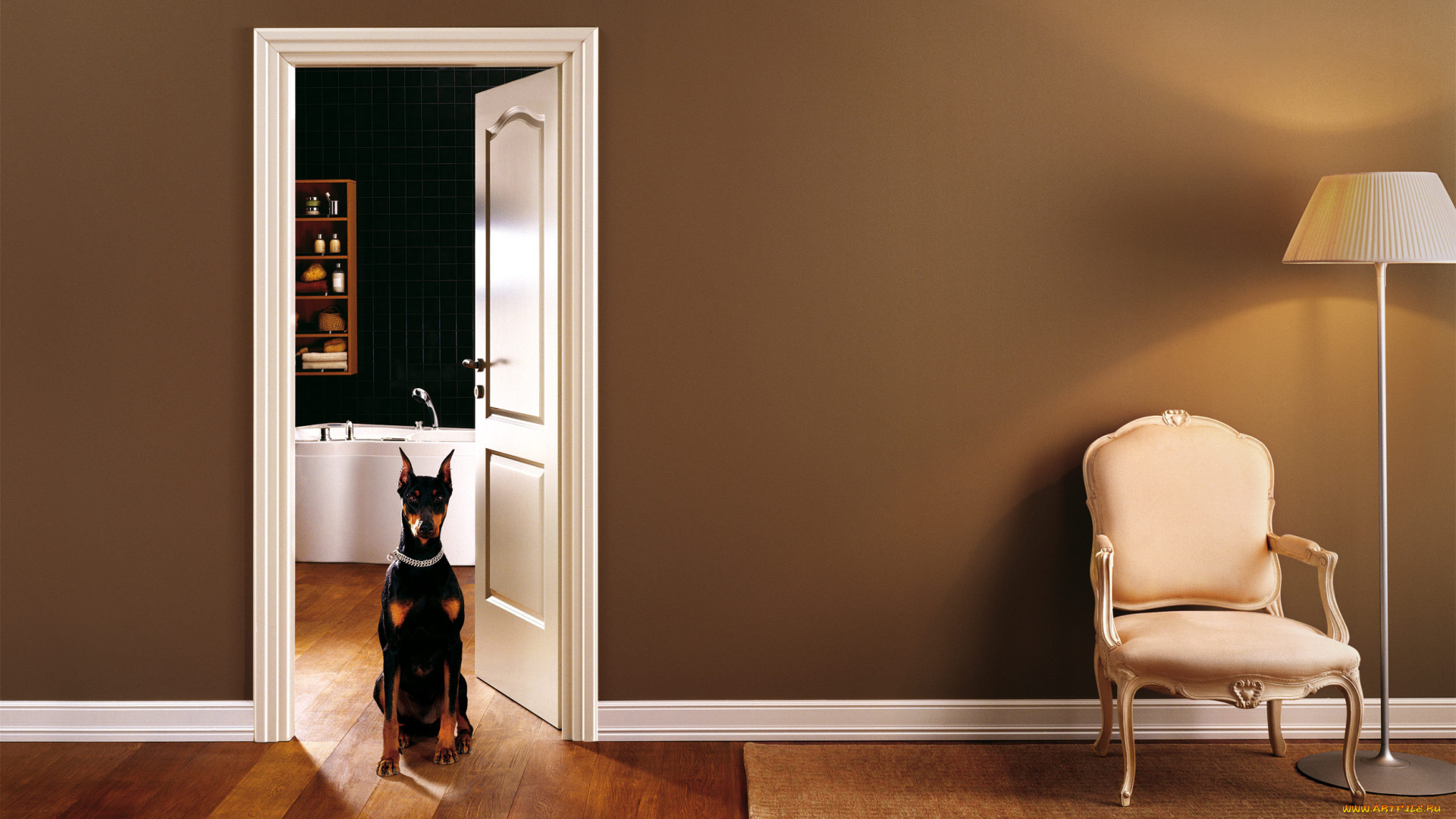 интерьер, ванная, туалетная, комнаты, песик, стул