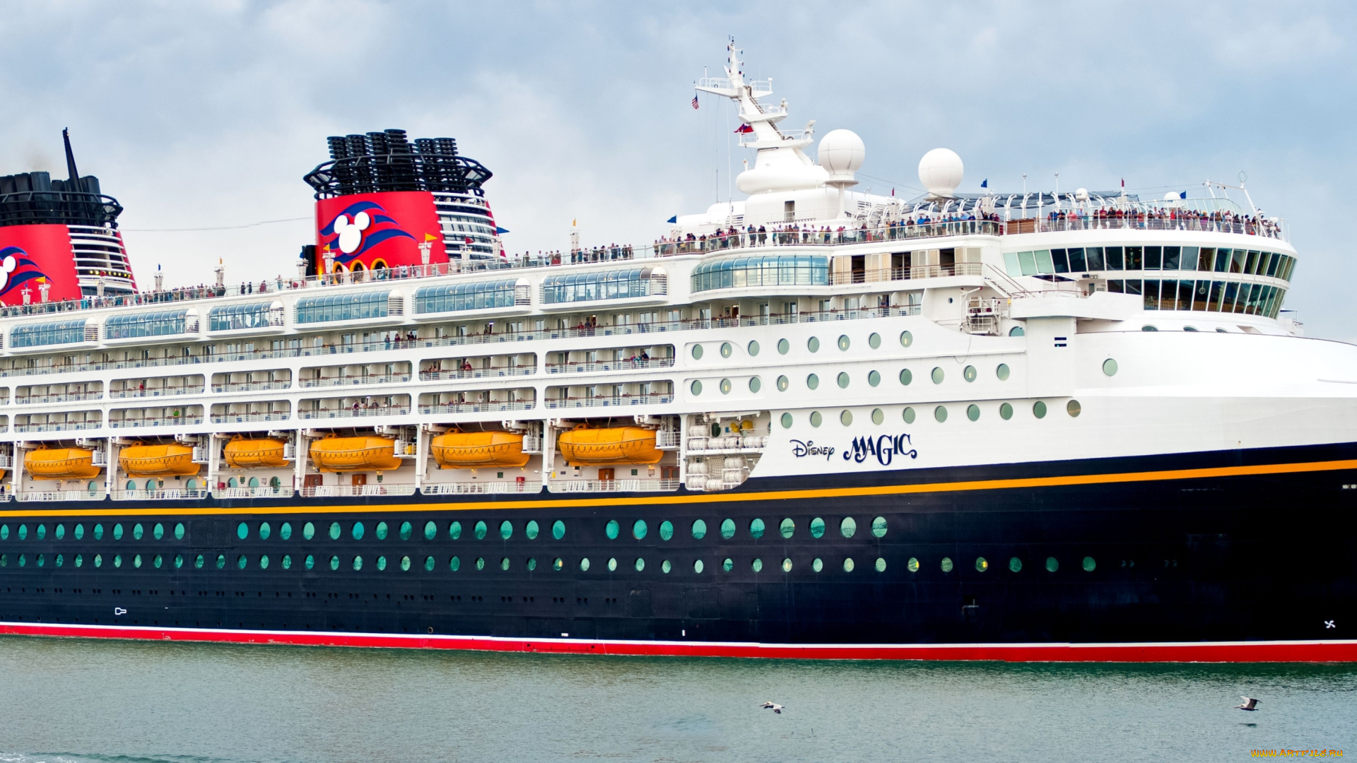 корабли, лайнеры, огромный, круиз