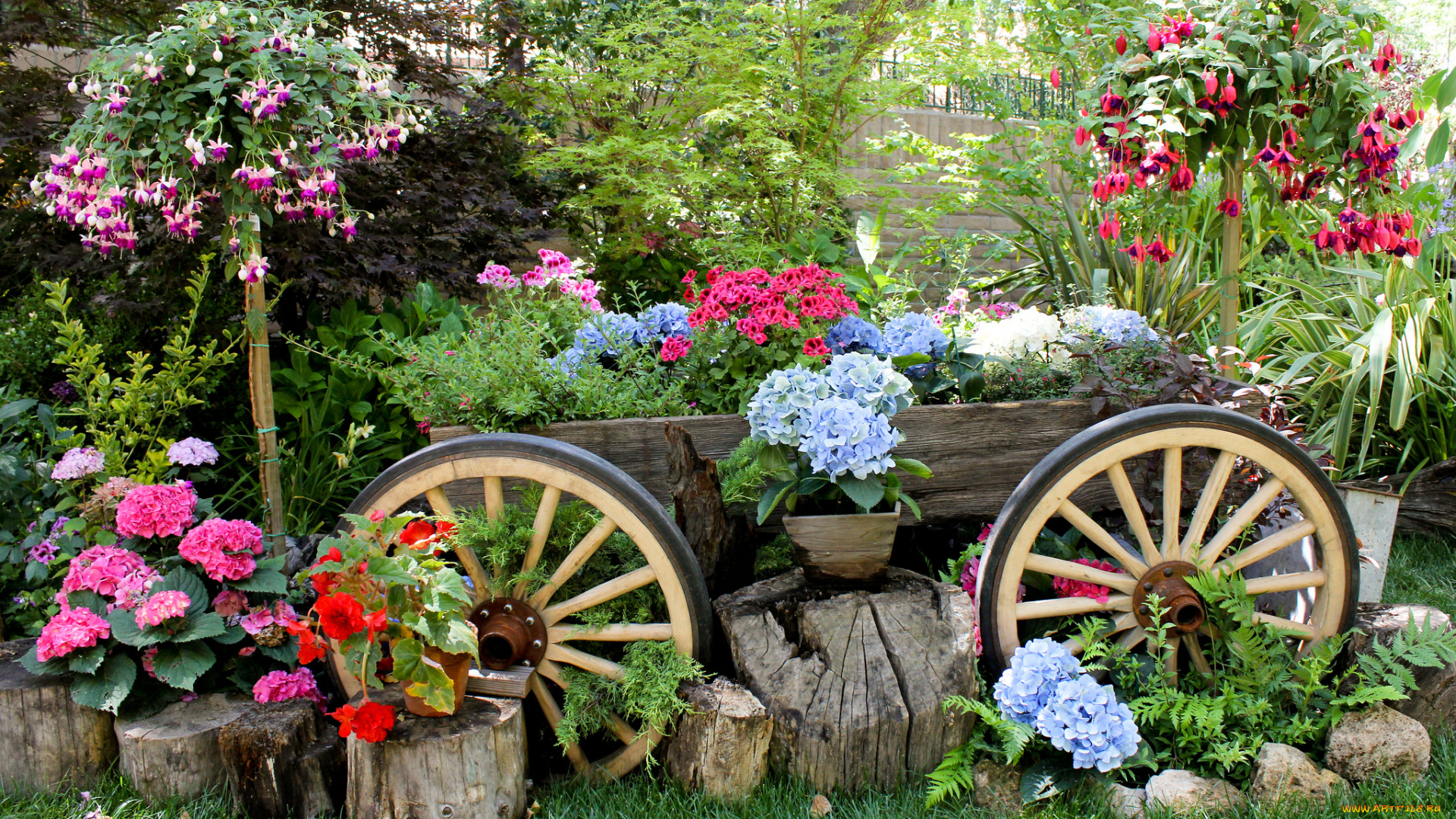 цветы, разные, вместе, телега