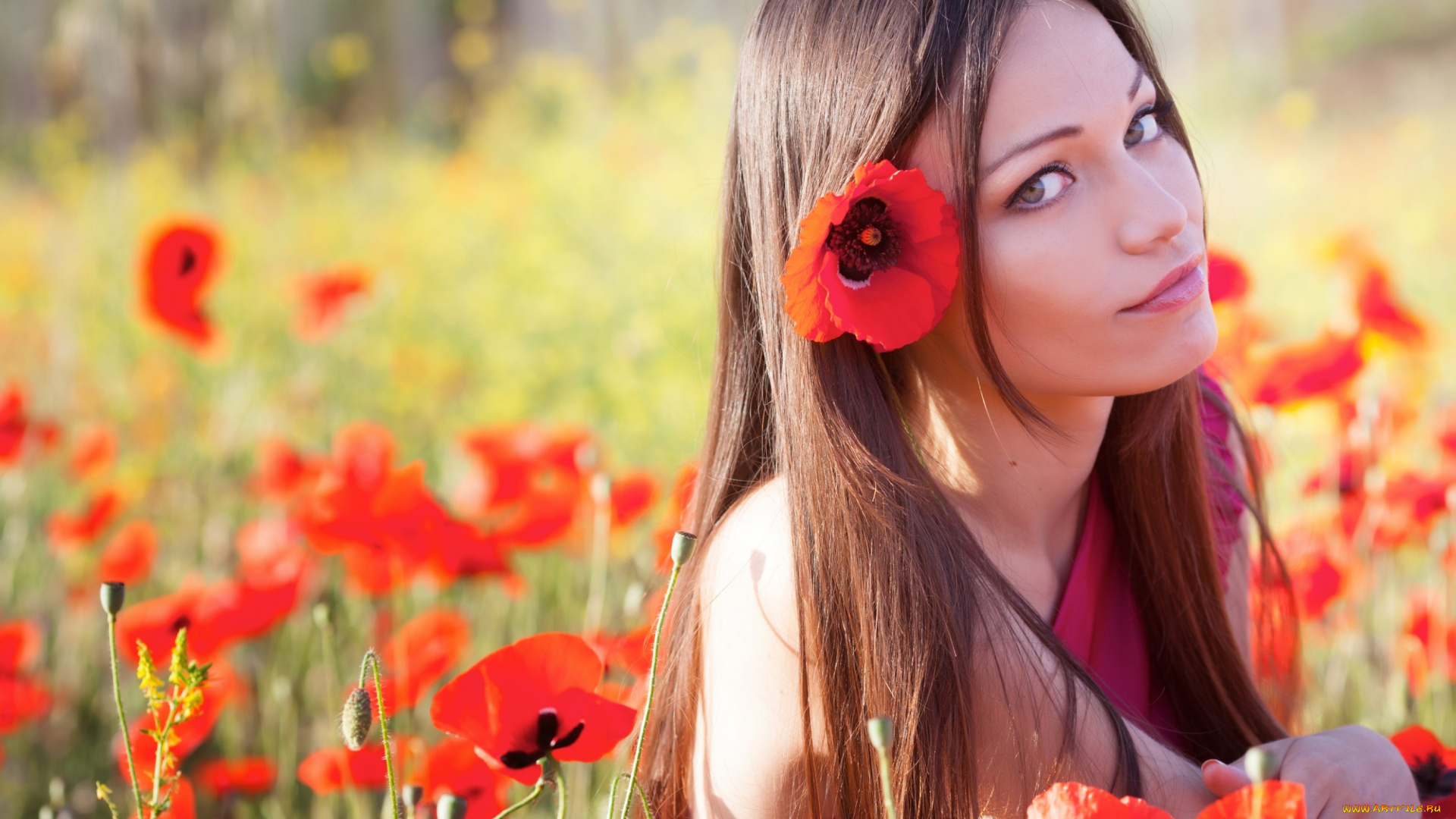 девушки, -unsort, , лица, , портреты, взгляд, лето, маки, цветы, девушка, природа, волосы, лицо, глаза