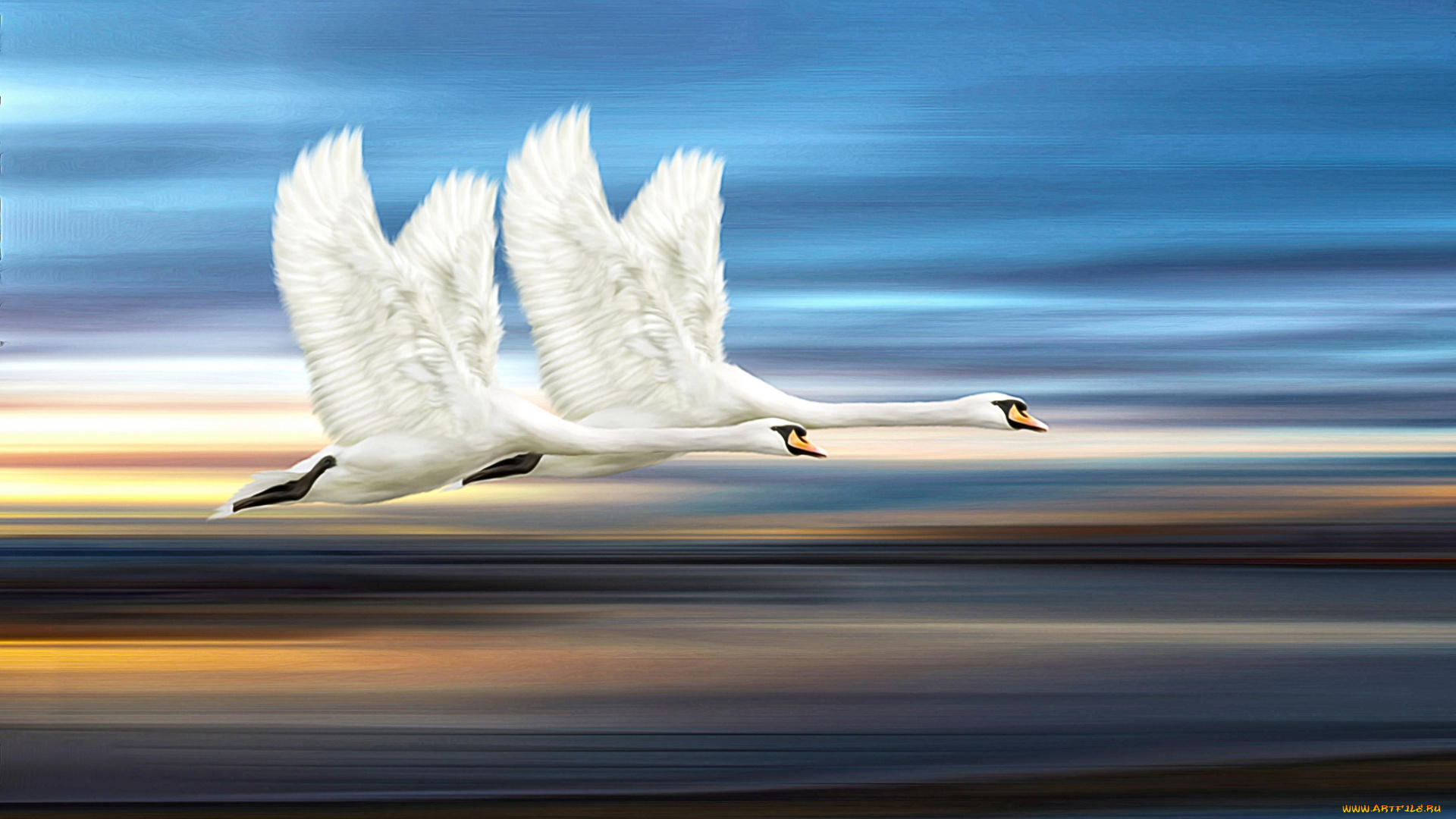 рисованные, животные, , птицы, полет, лебеди