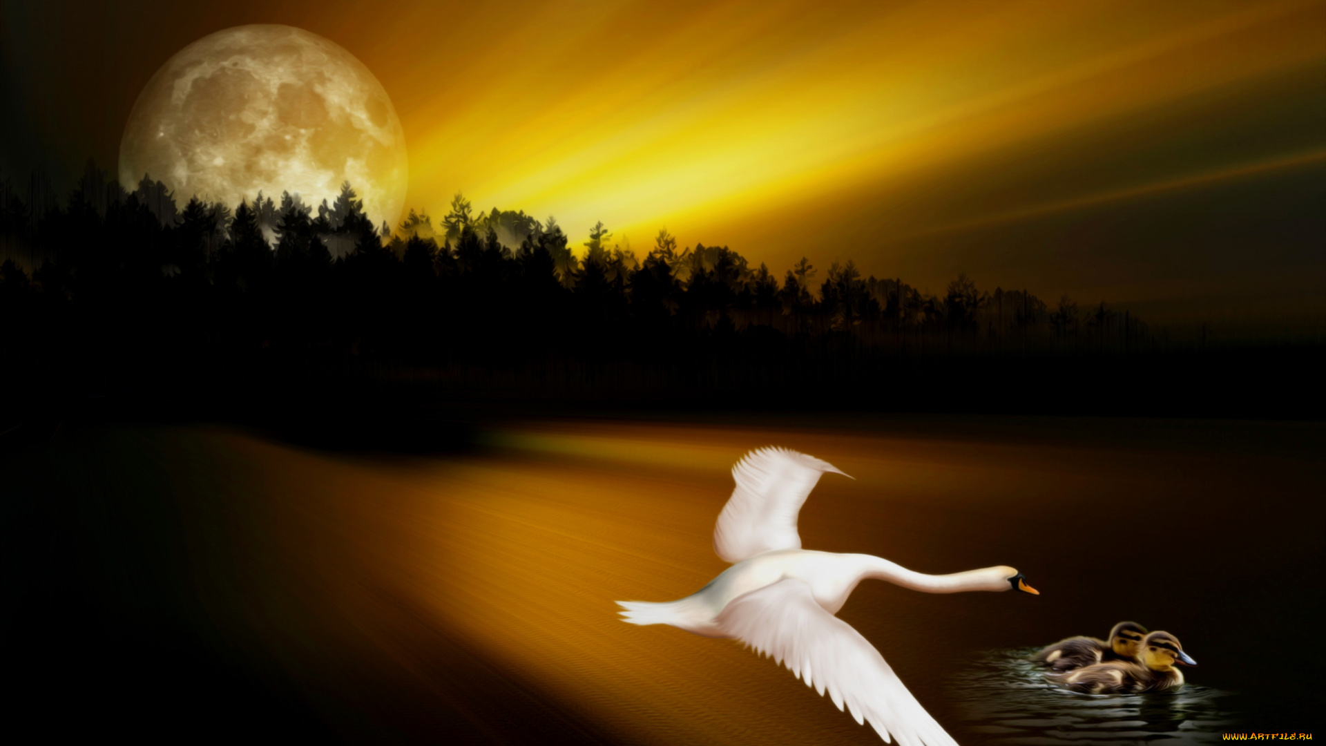 рисованные, животные, , птицы, утки, лебеди, ночь