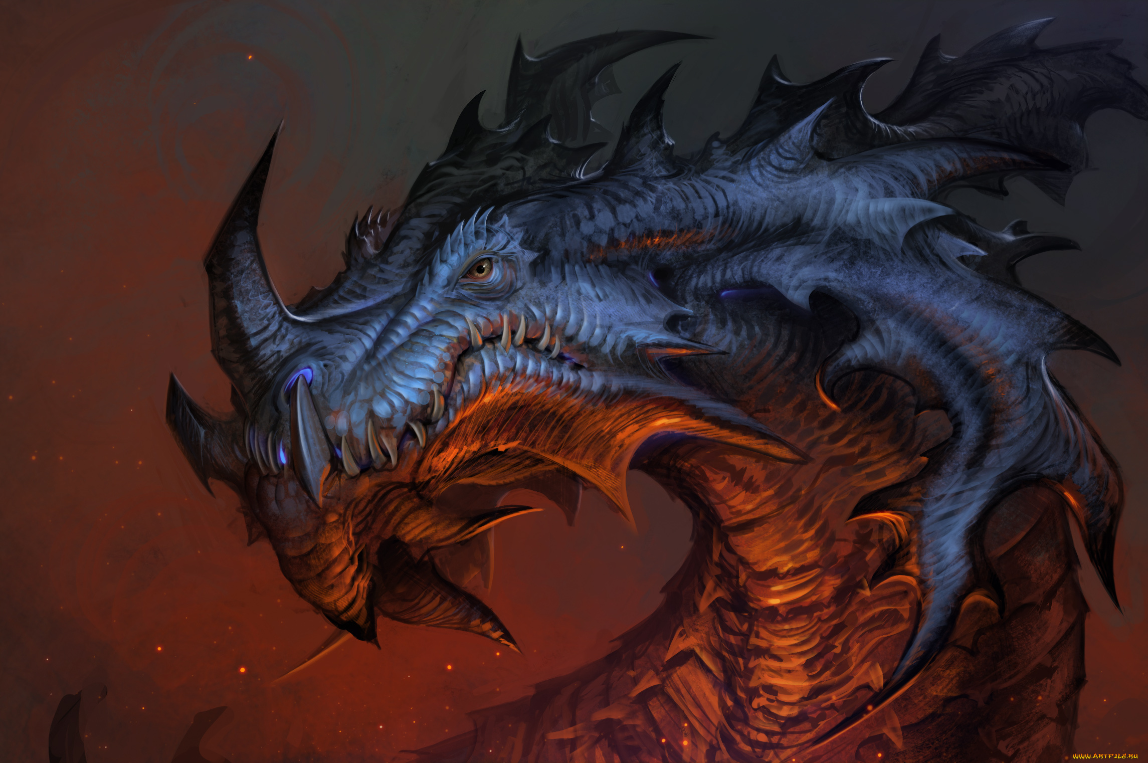 фэнтези, драконы, глаза