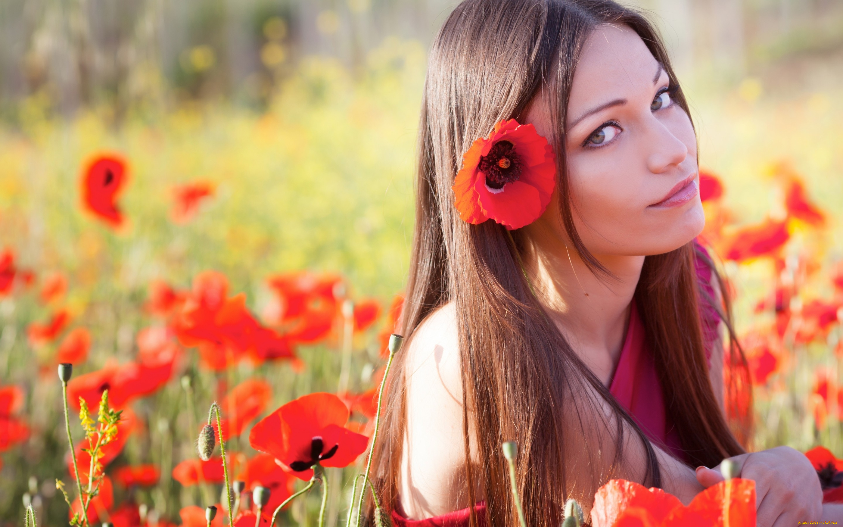 девушки, -unsort, , лица, , портреты, взгляд, лето, маки, цветы, девушка, природа, волосы, лицо, глаза