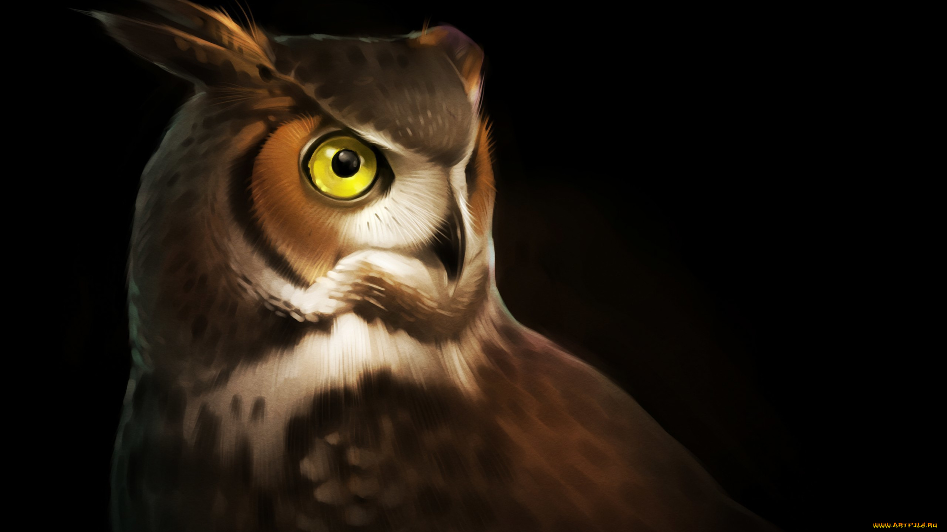 gaudibuendia, рисованное, животные, , птицы, , совы, , филины, сова, глаза, птица