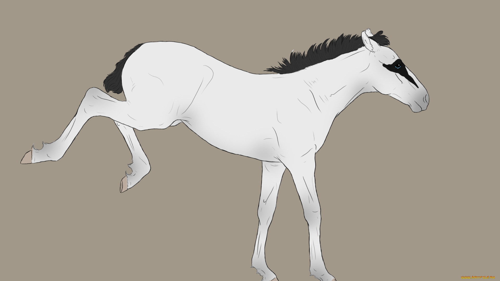 рисованное, животные, , лошади, фон, взгляд, лошадь