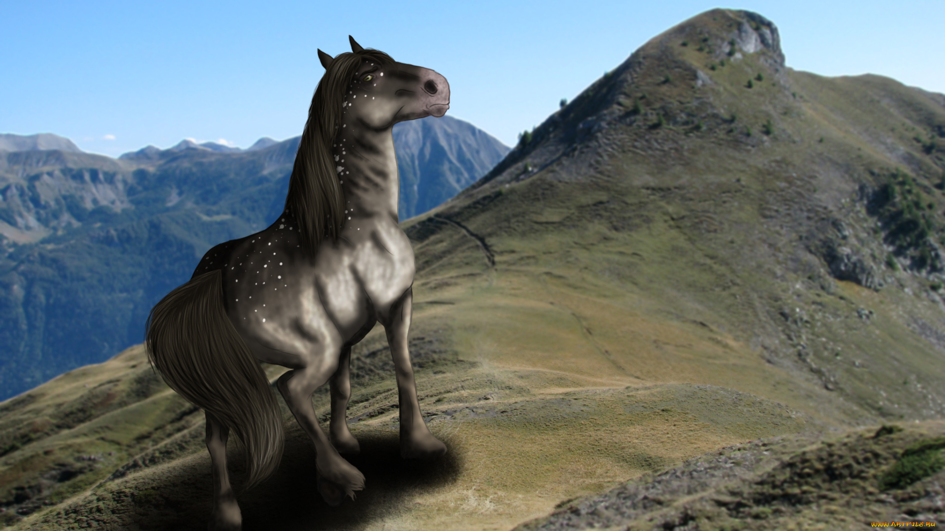 рисованное, животные, , лошади, лошадь, взгляд