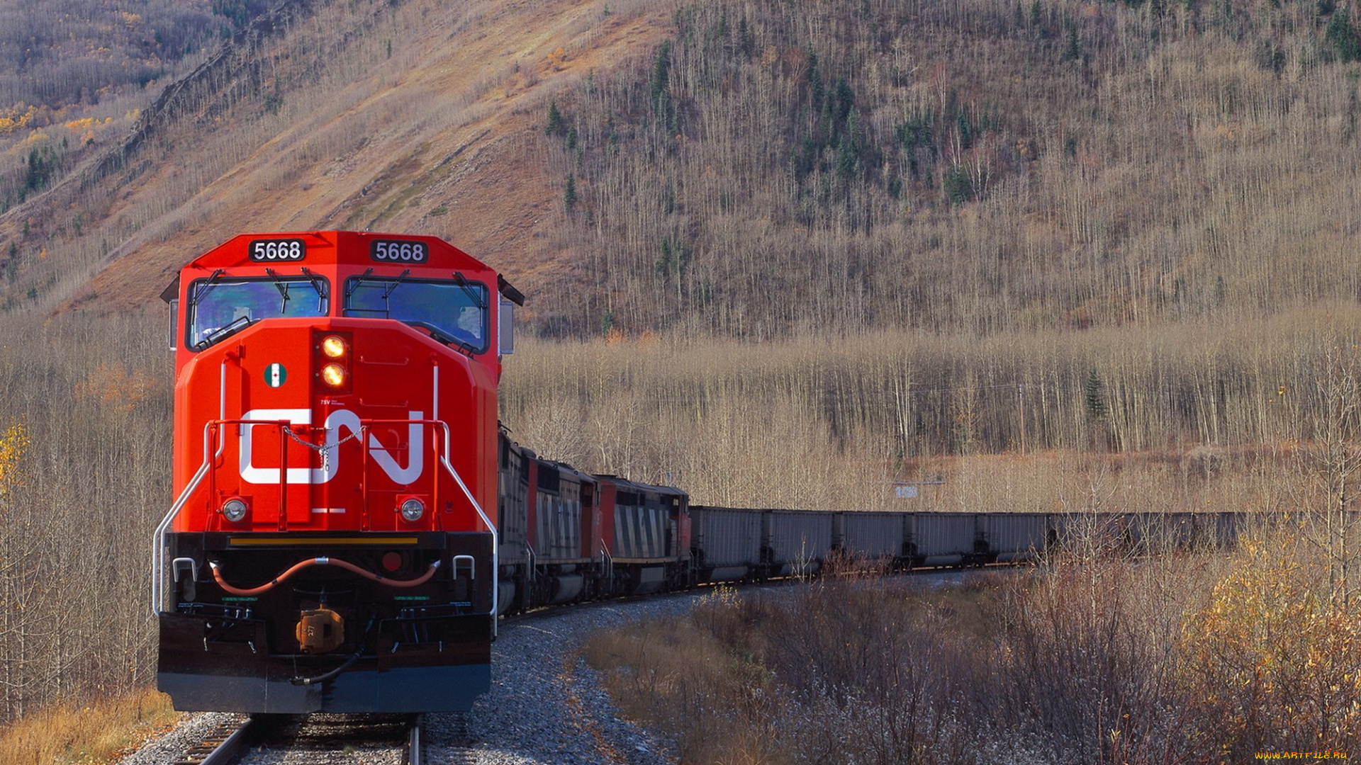 техника, поезда, поезд, скорость