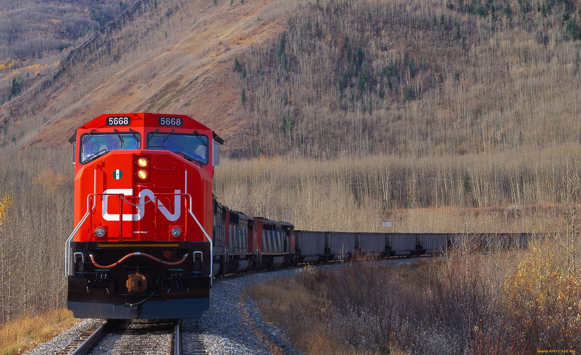 техника, поезда, поезд, скорость