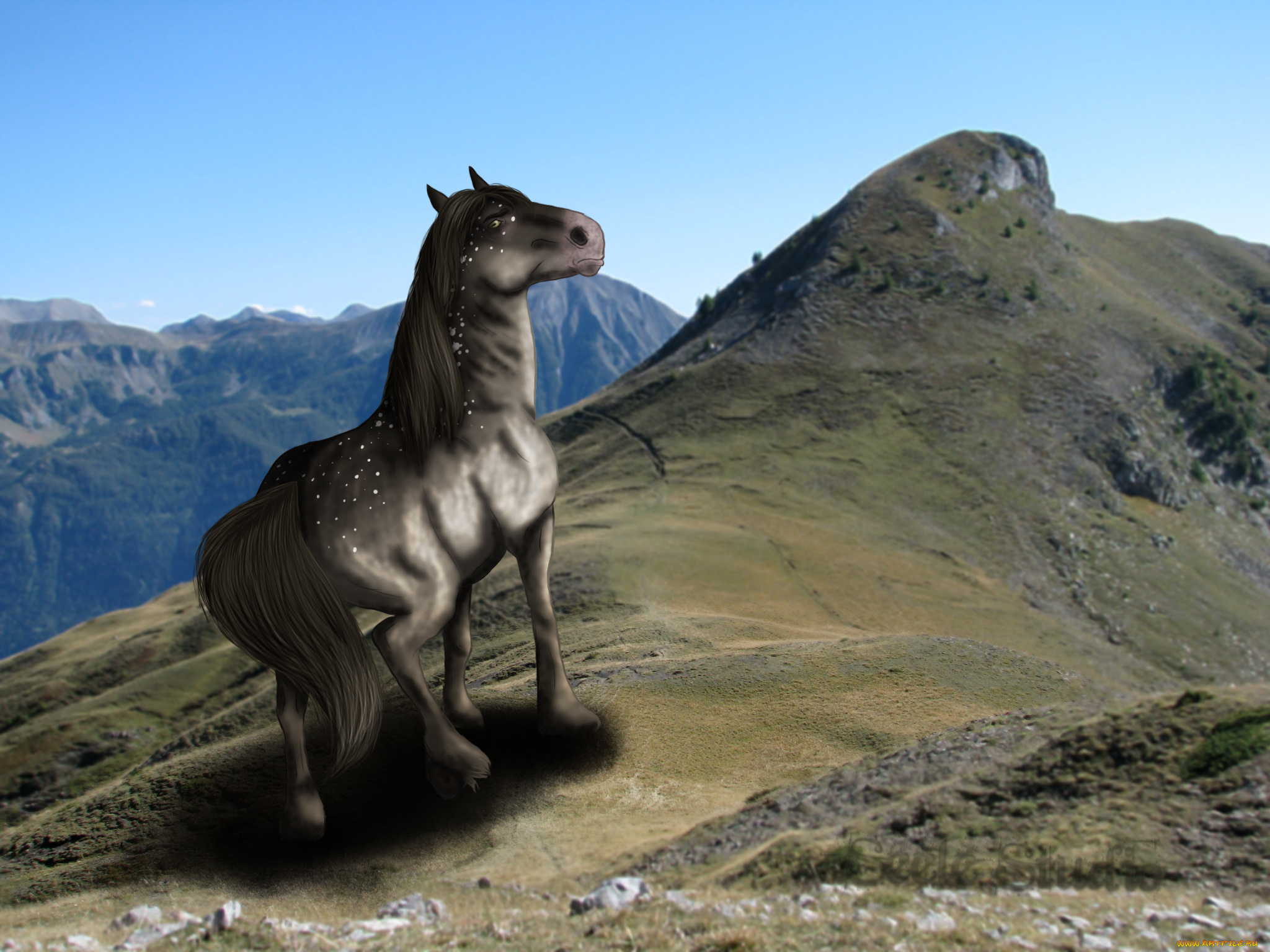 рисованное, животные, , лошади, лошадь, взгляд