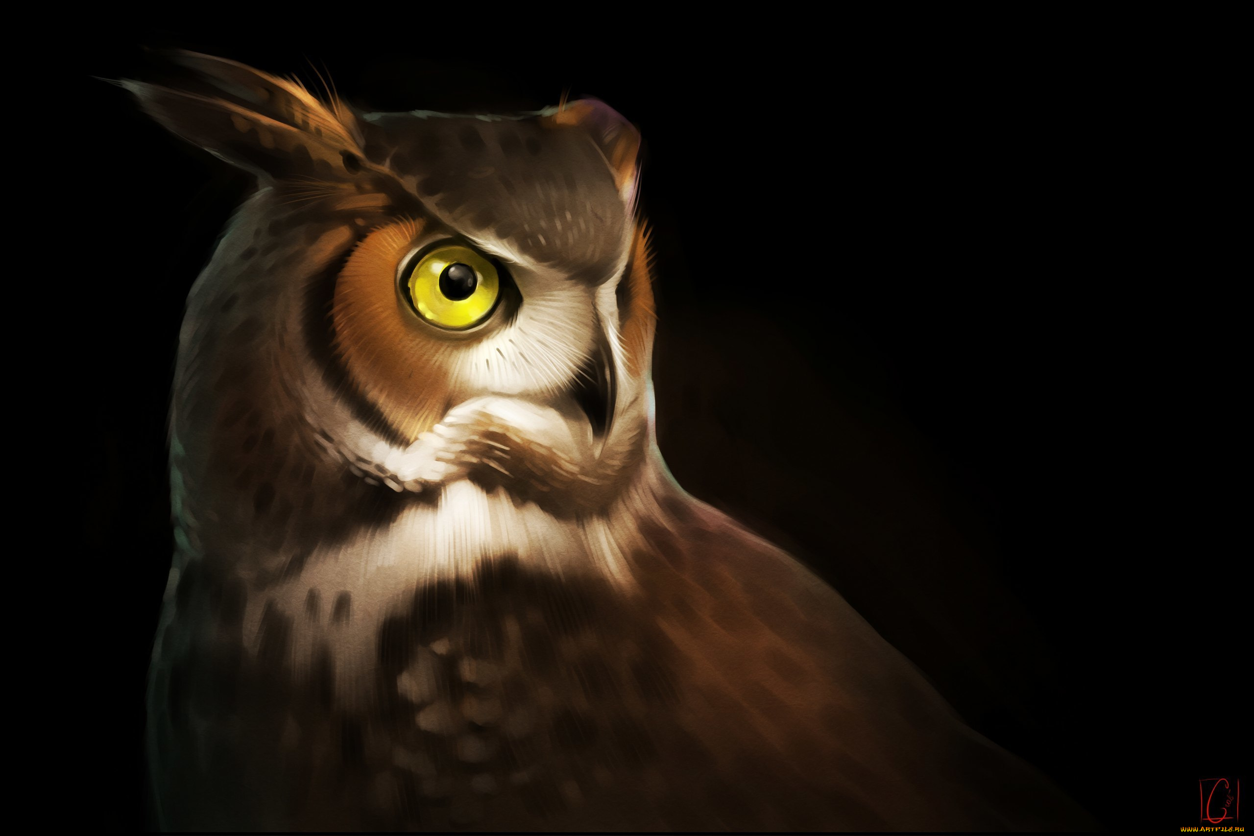 gaudibuendia, рисованное, животные, , птицы, , совы, , филины, сова, глаза, птица