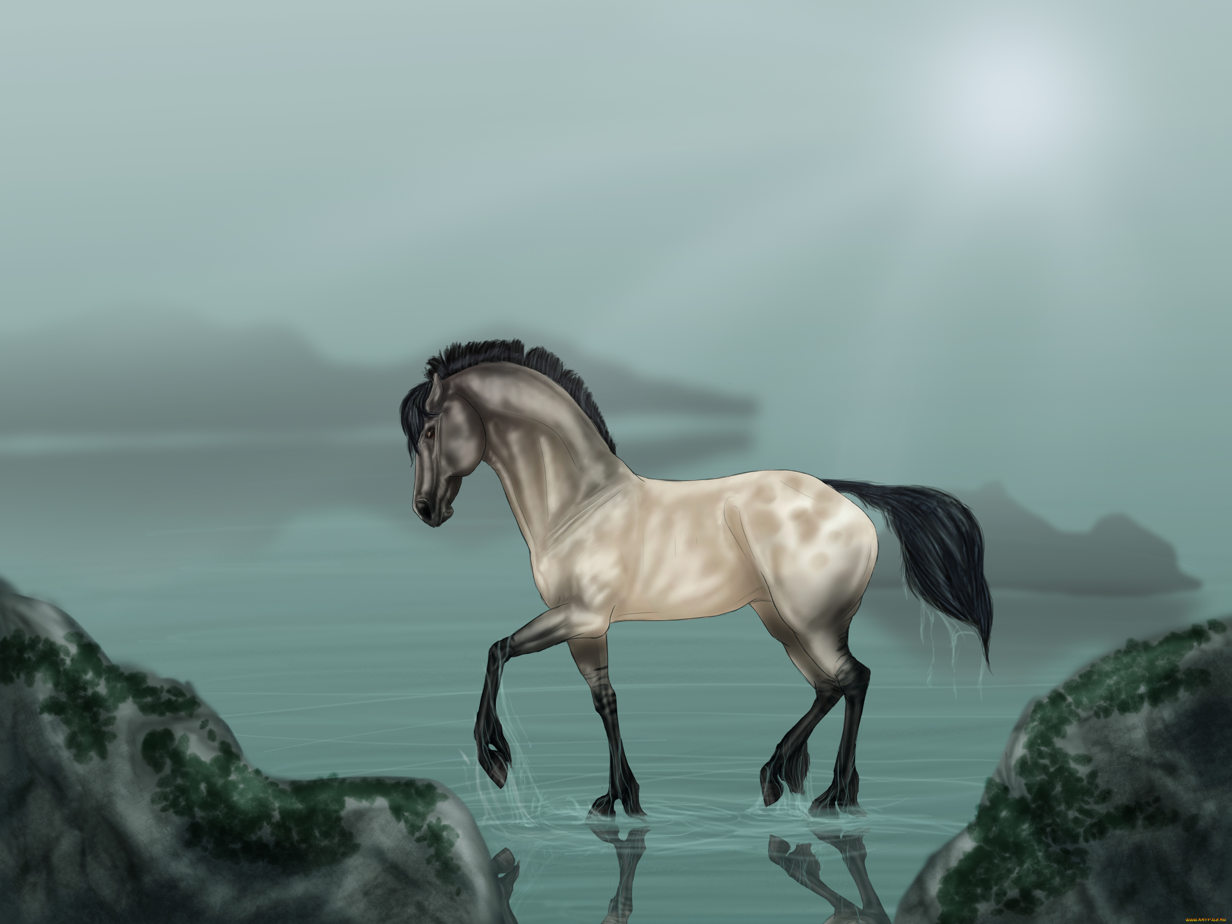 рисованное, животные, , лошади, взгляд, вода, фон, лошадь