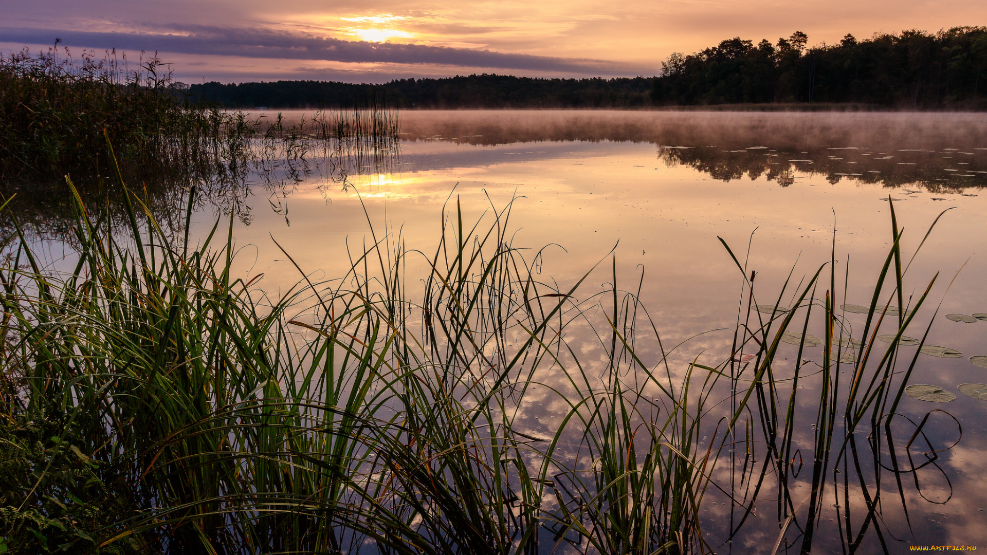 природа, реки, озера, деревья