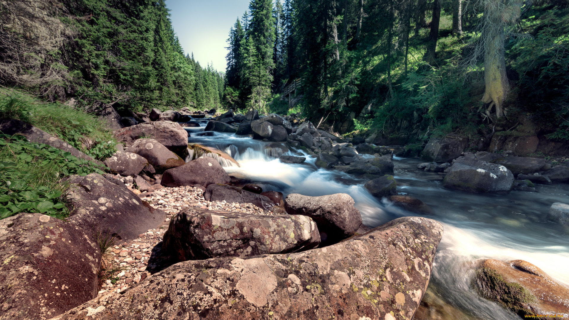природа, реки, озера, деревья