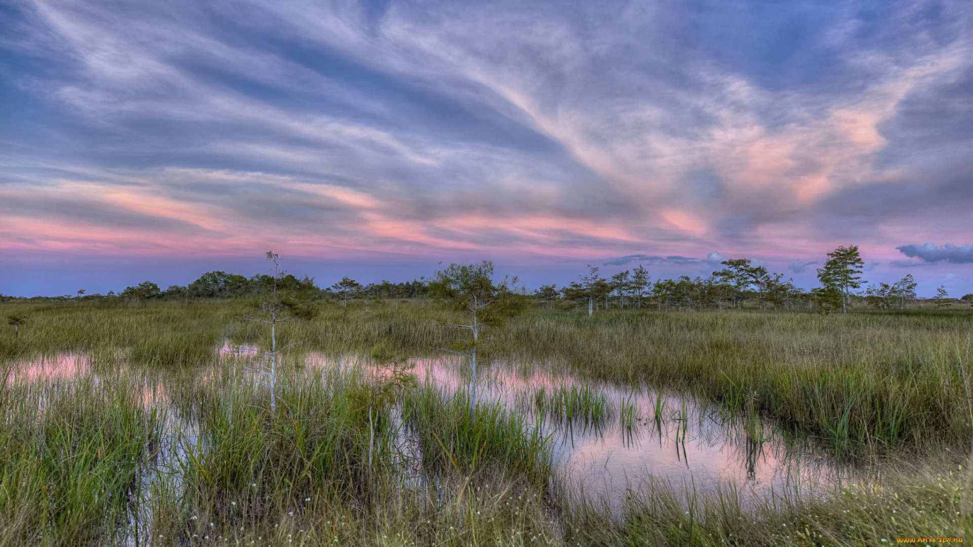 природа, реки, озера, лес, река