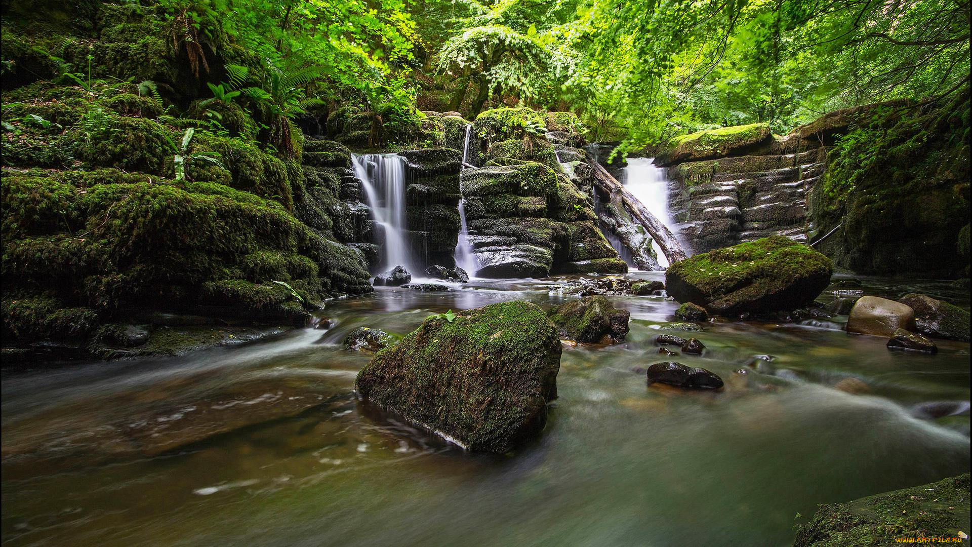природа, водопады, водопад, водоём, лес, деревья, пейзаж