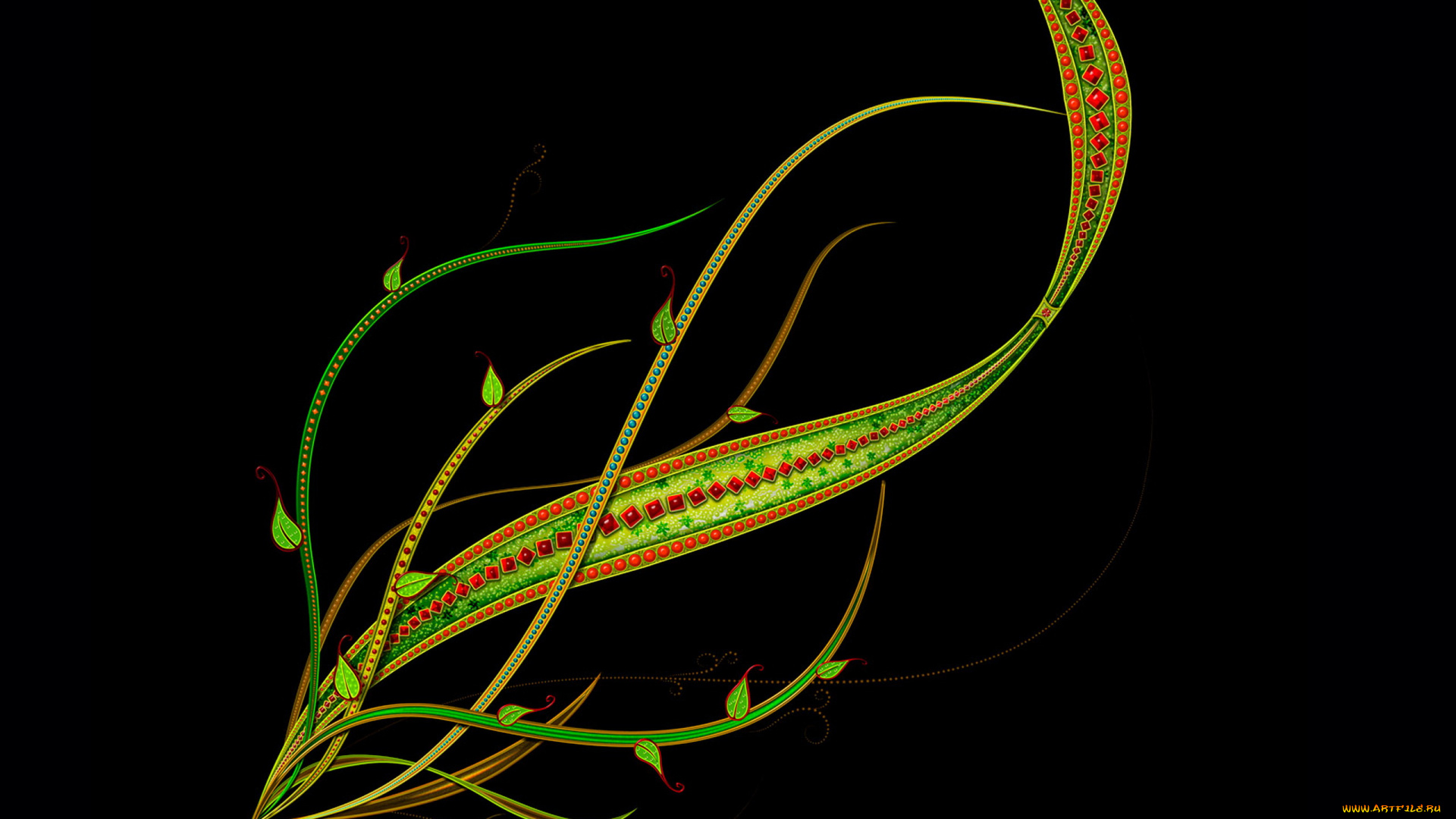 векторная, графика, цветы, , flowers, растение, листья