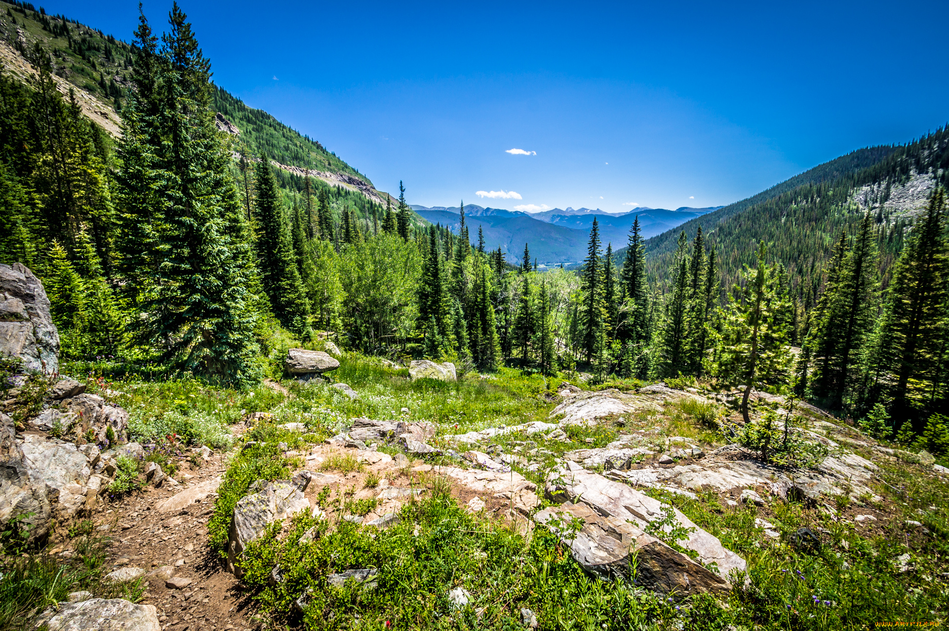 природа, пейзажи, простор