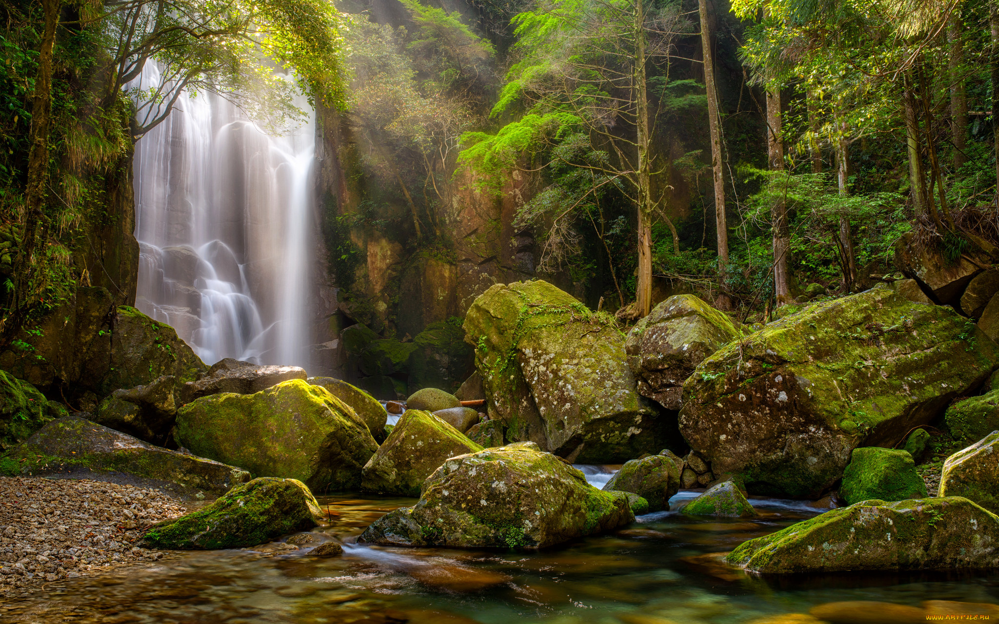 природа, водопады, водопад, река, лес