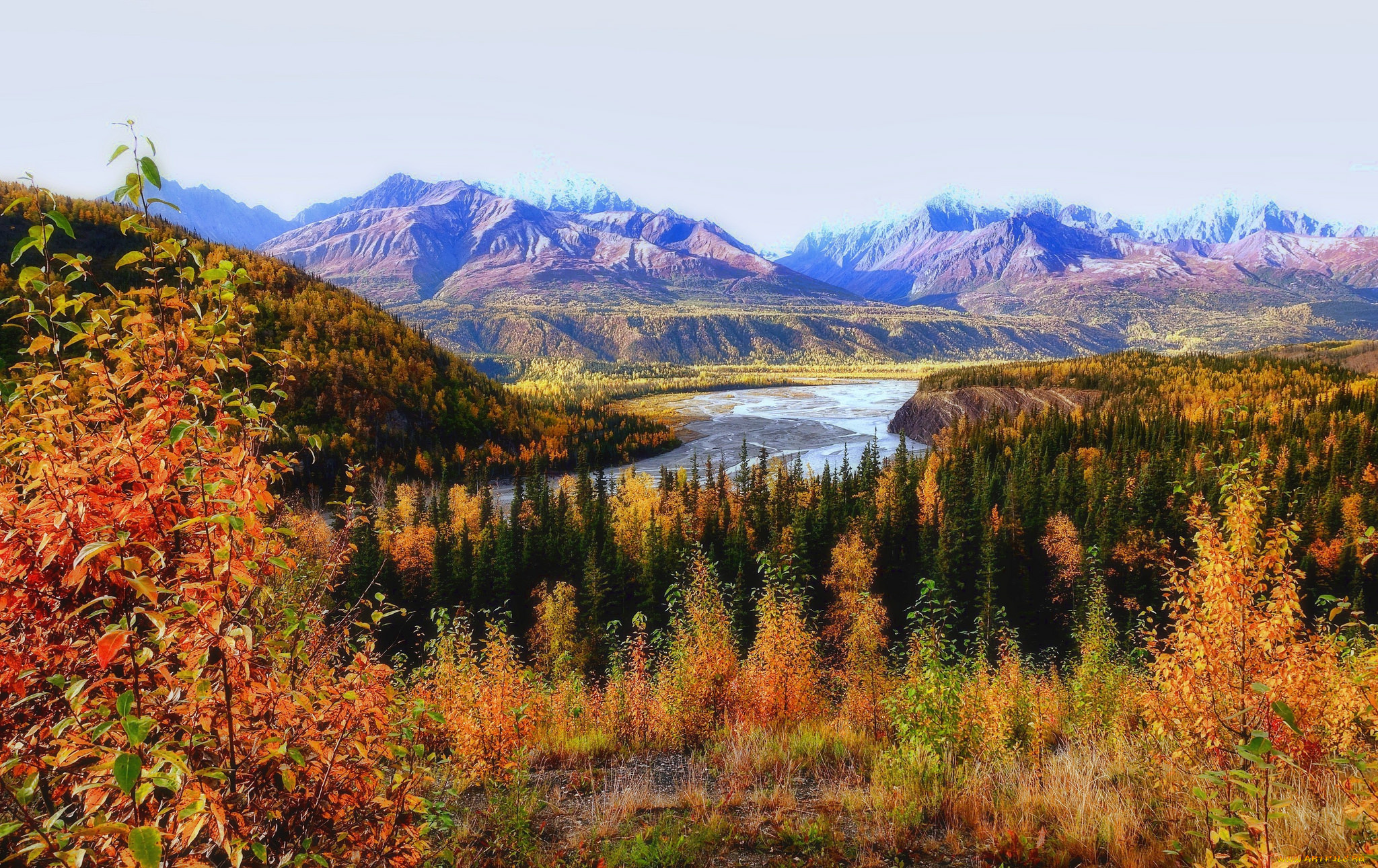 природа, реки, озера, деревья