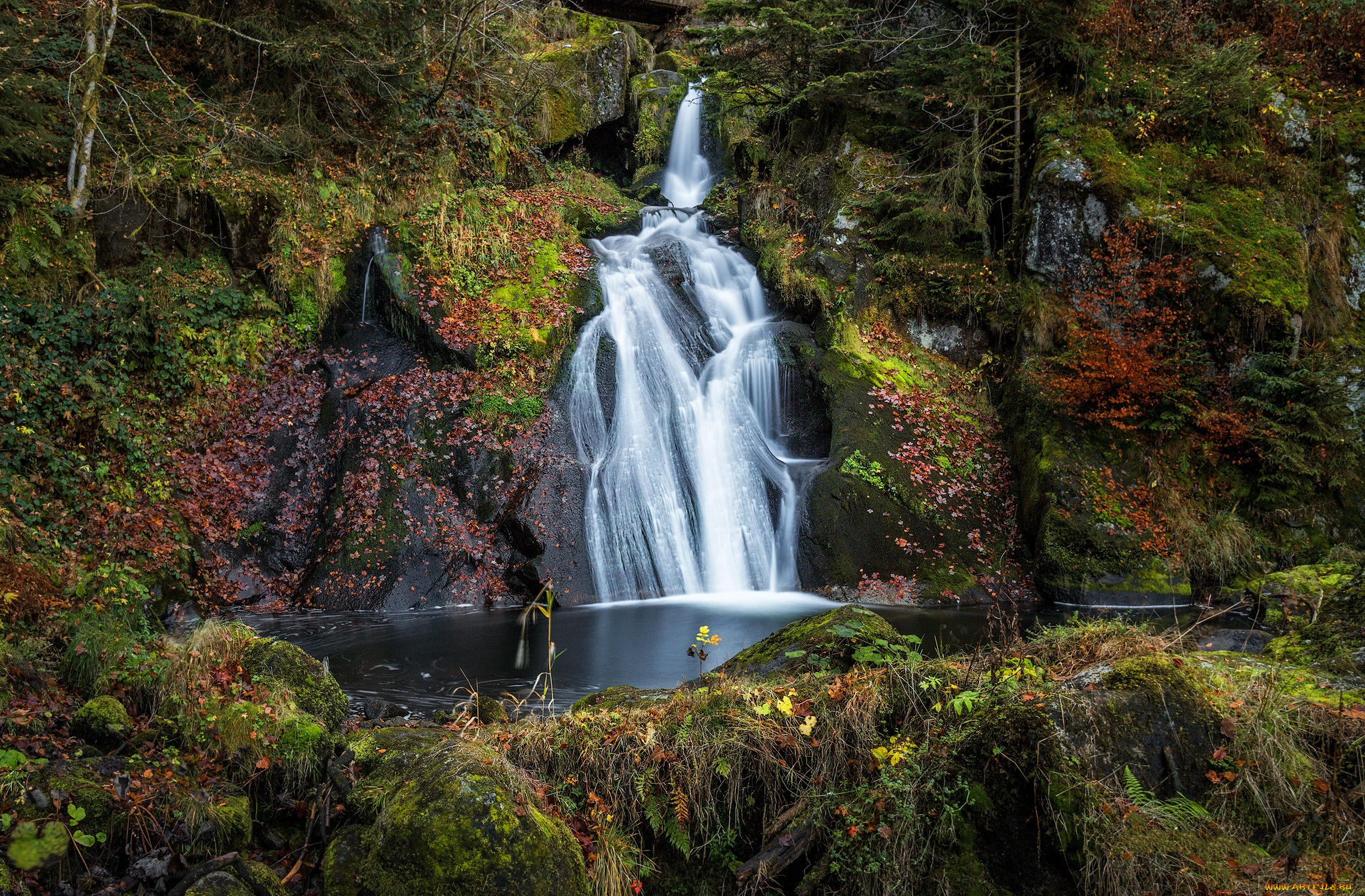 природа, водопады, водопад, река, лес