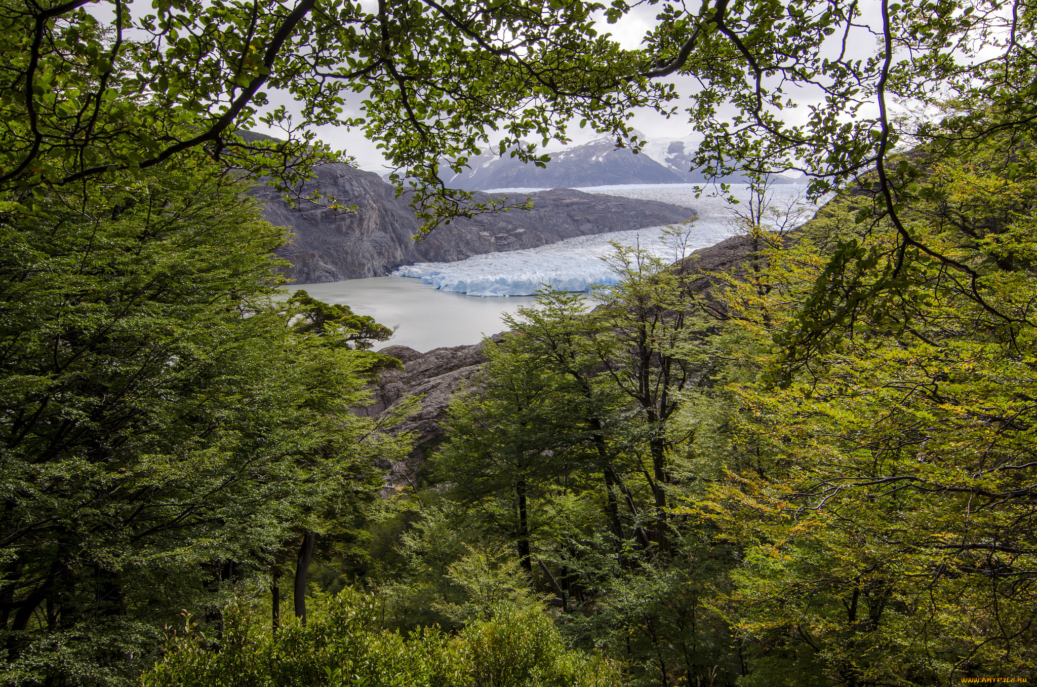 природа, побережье, берег, море