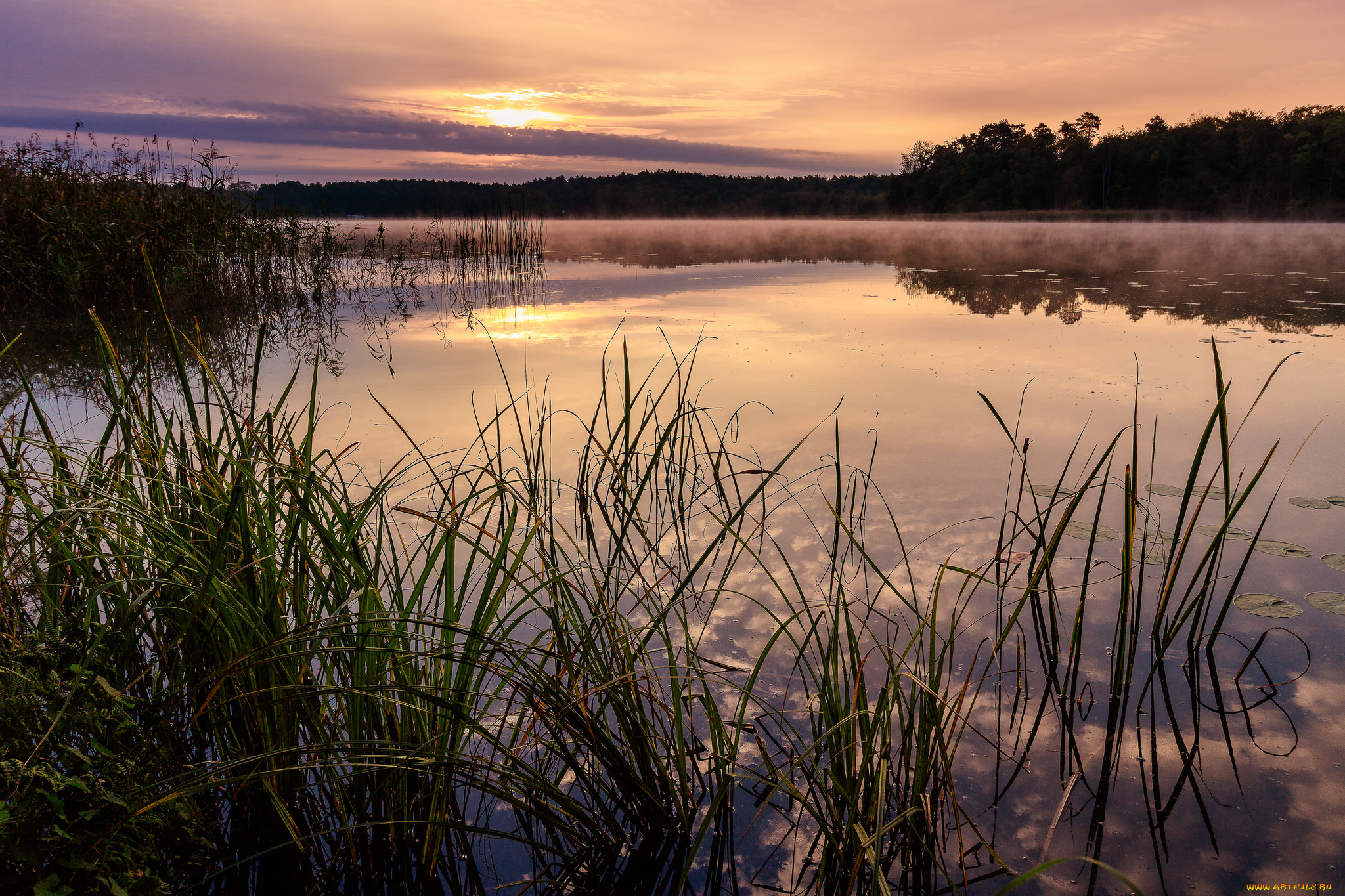 природа, реки, озера, деревья