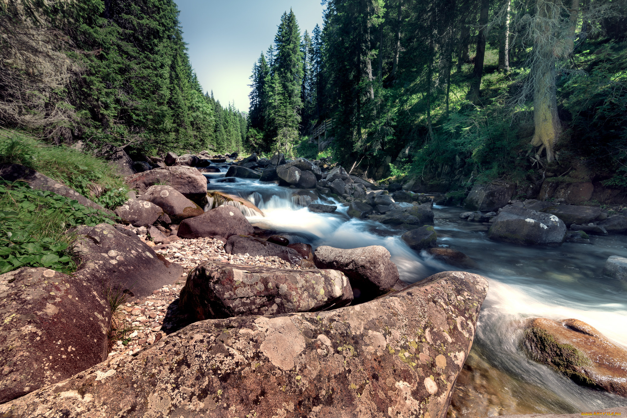 природа, реки, озера, деревья