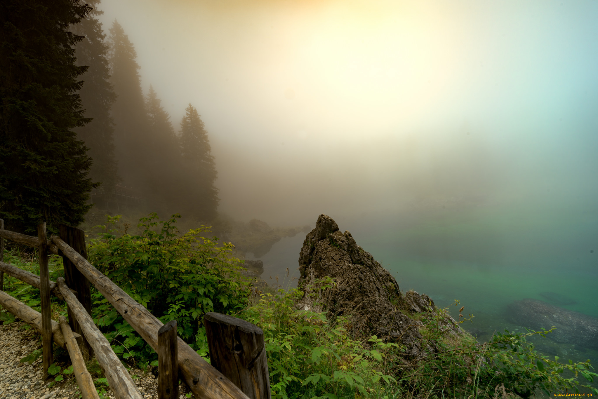 природа, реки, озера, деревья