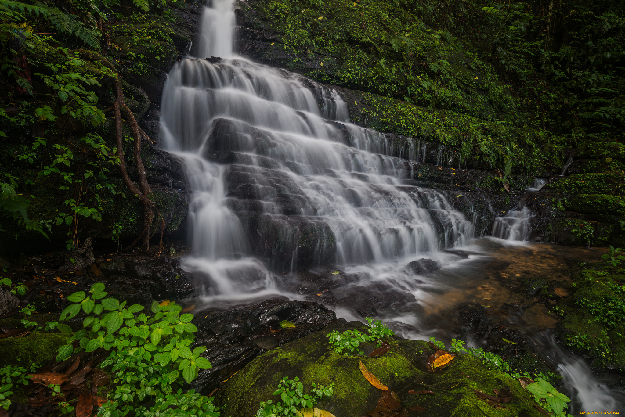природа, водопады, водопад, река, лес