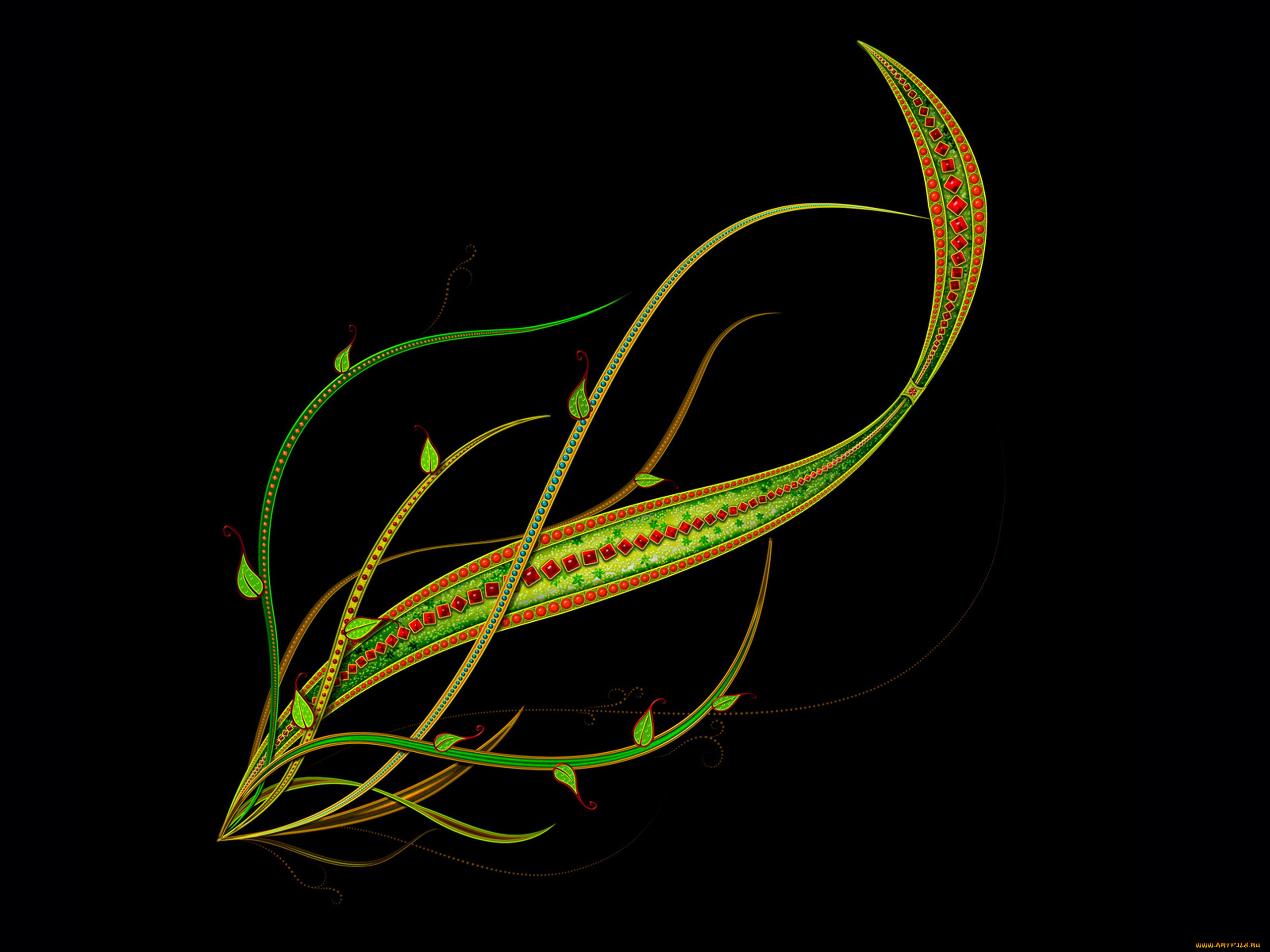 векторная, графика, цветы, , flowers, растение, листья