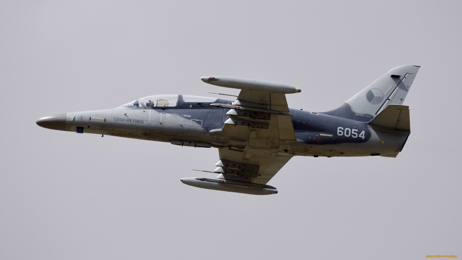 aero, l-159, alca, авиация, боевые, самолёты, ввс