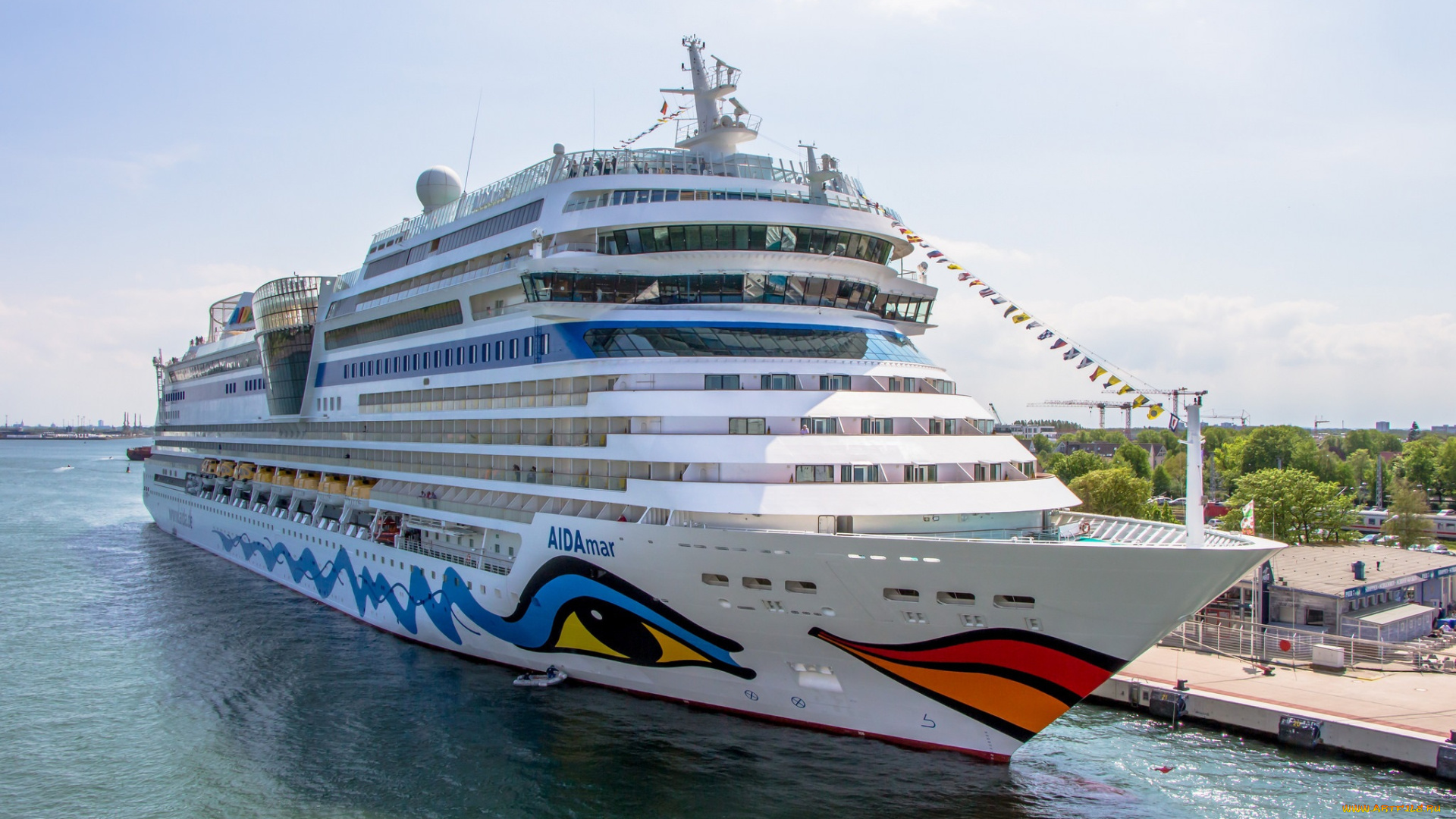 aidamar, корабли, лайнеры, круиз, лайнер