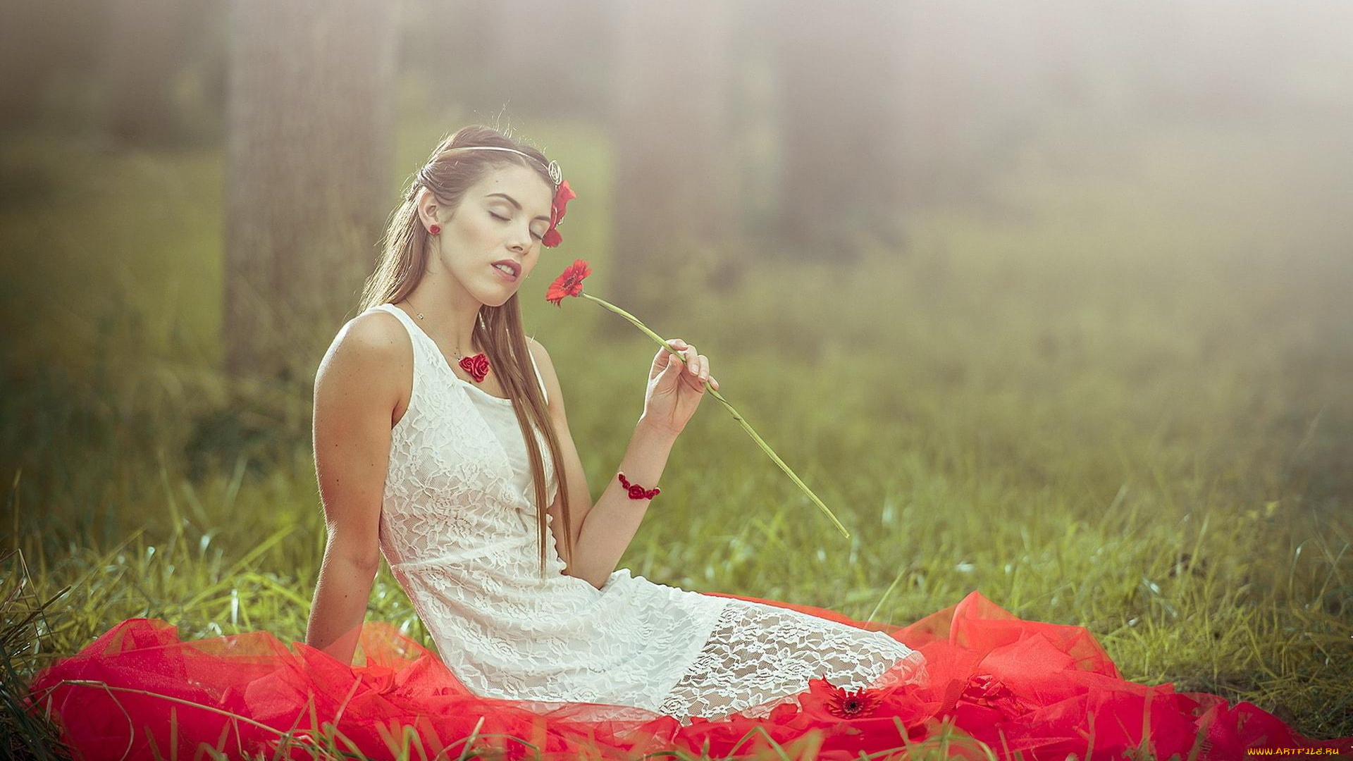 девушки, -unsort, , брюнетки, темноволосые, цветы, герберы, ткань, лес, трава, поляна