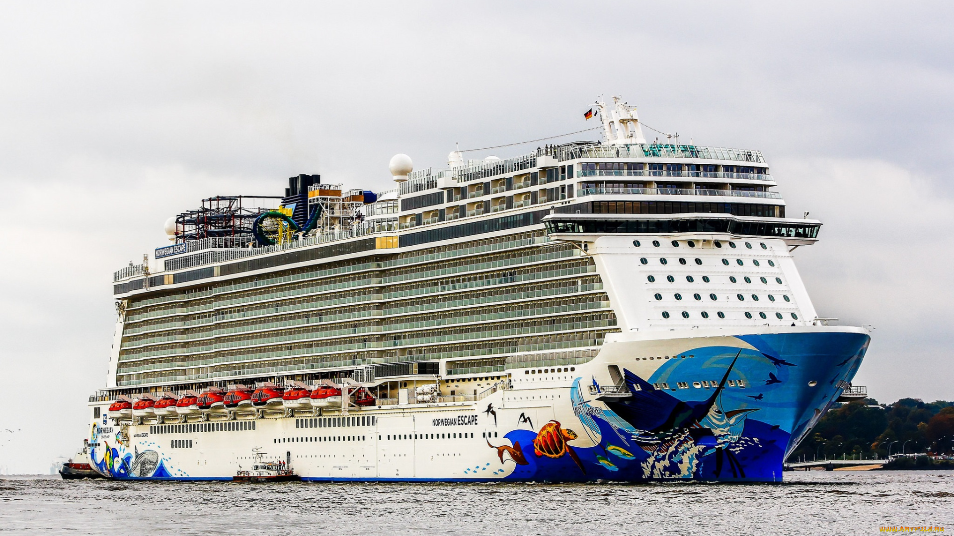 корабли, лайнеры, круиз, лайнер