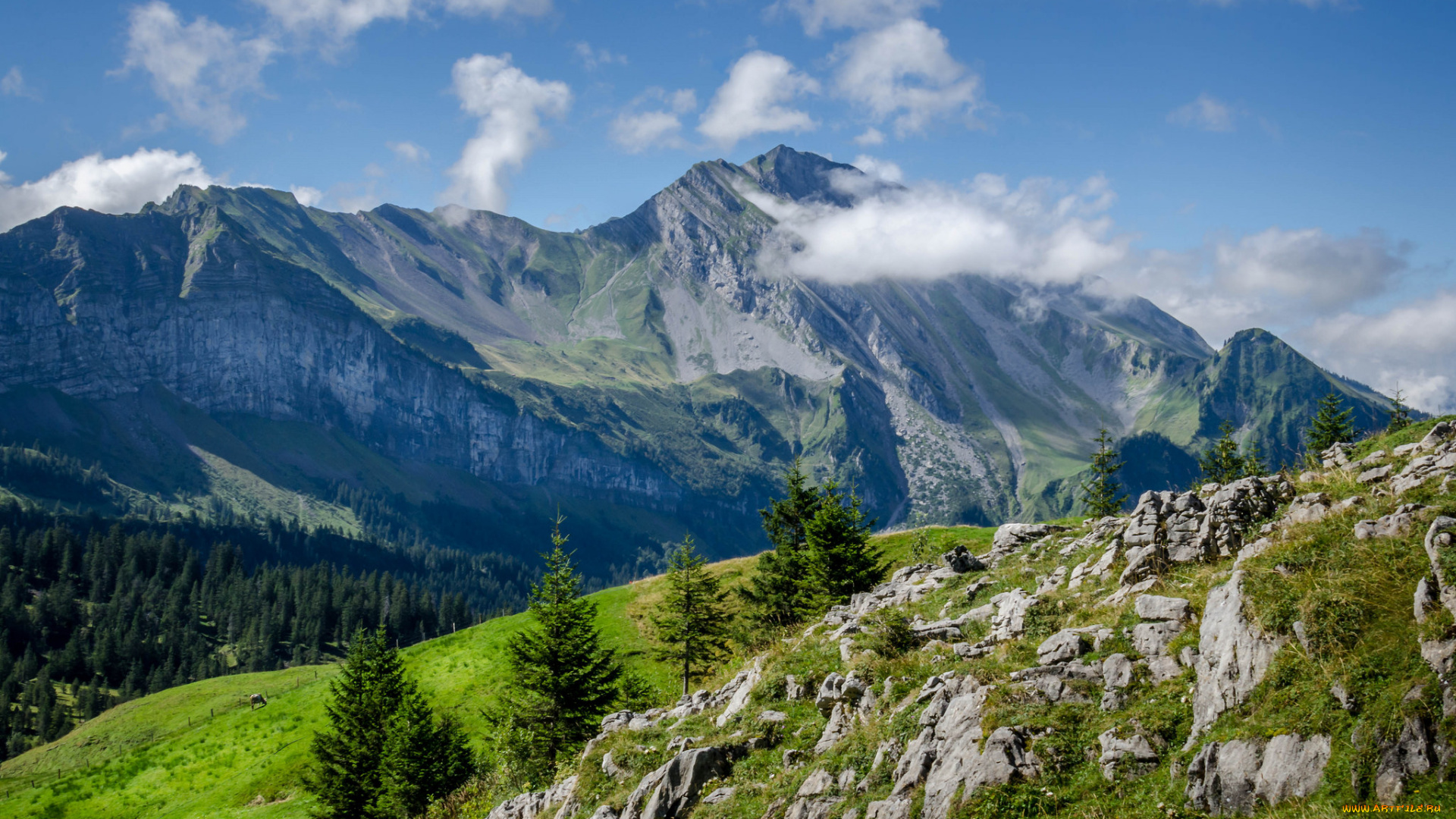 природа, горы, простор