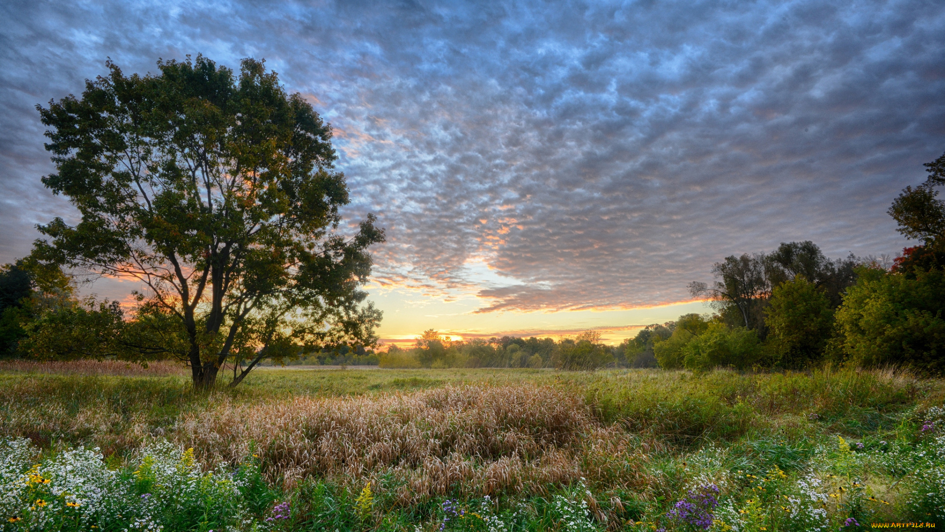 природа, пейзажи, простор
