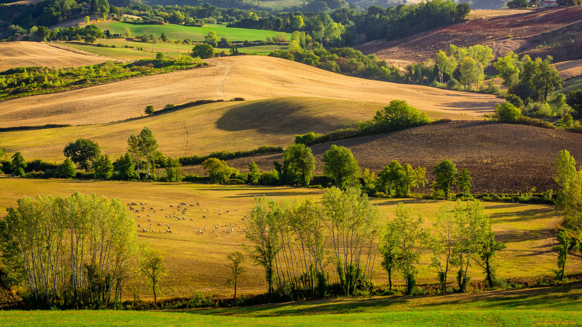 природа, пейзажи, простор
