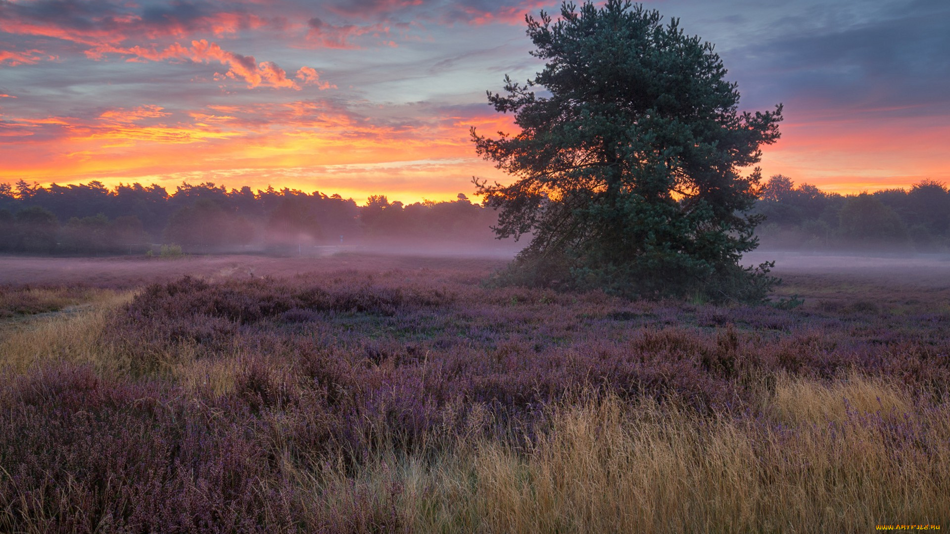 природа, пейзажи, простор
