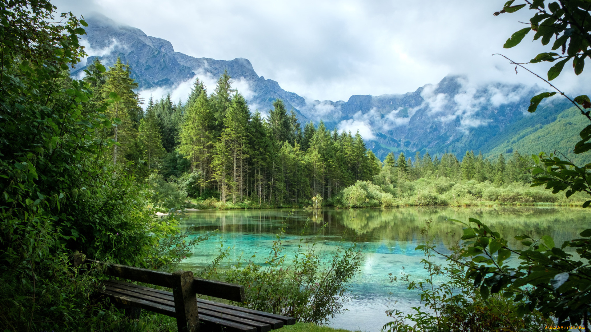 природа, реки, озера, простор