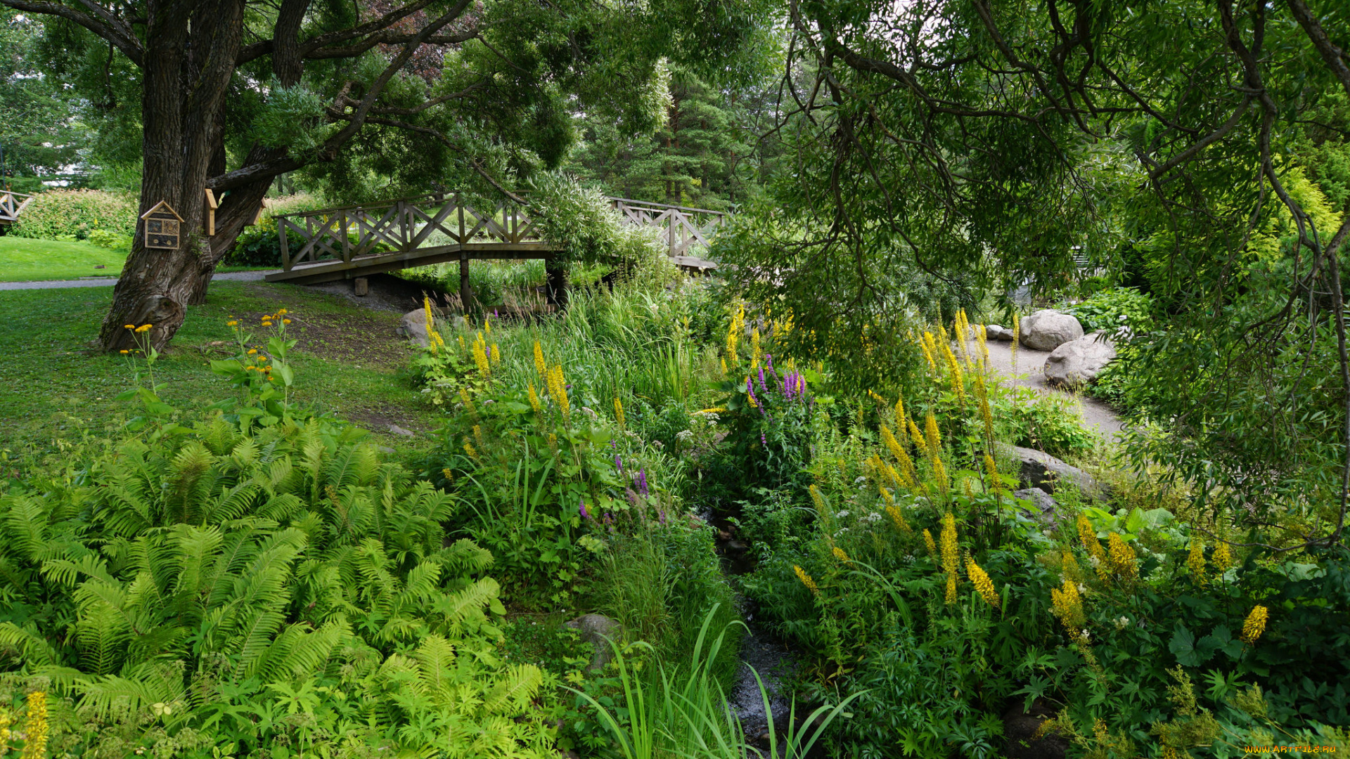 природа, реки, озера, простор