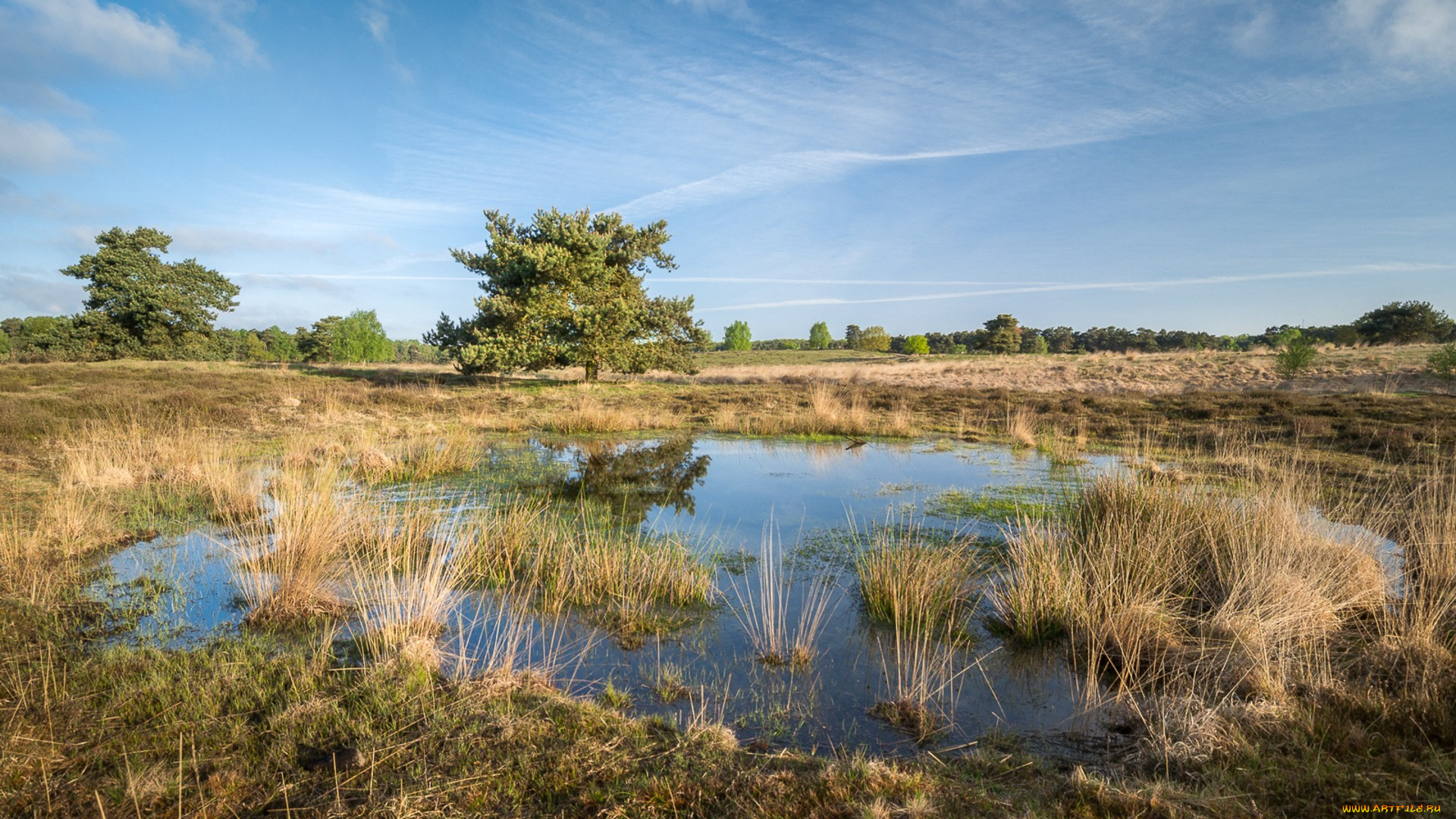 природа, реки, озера, простор