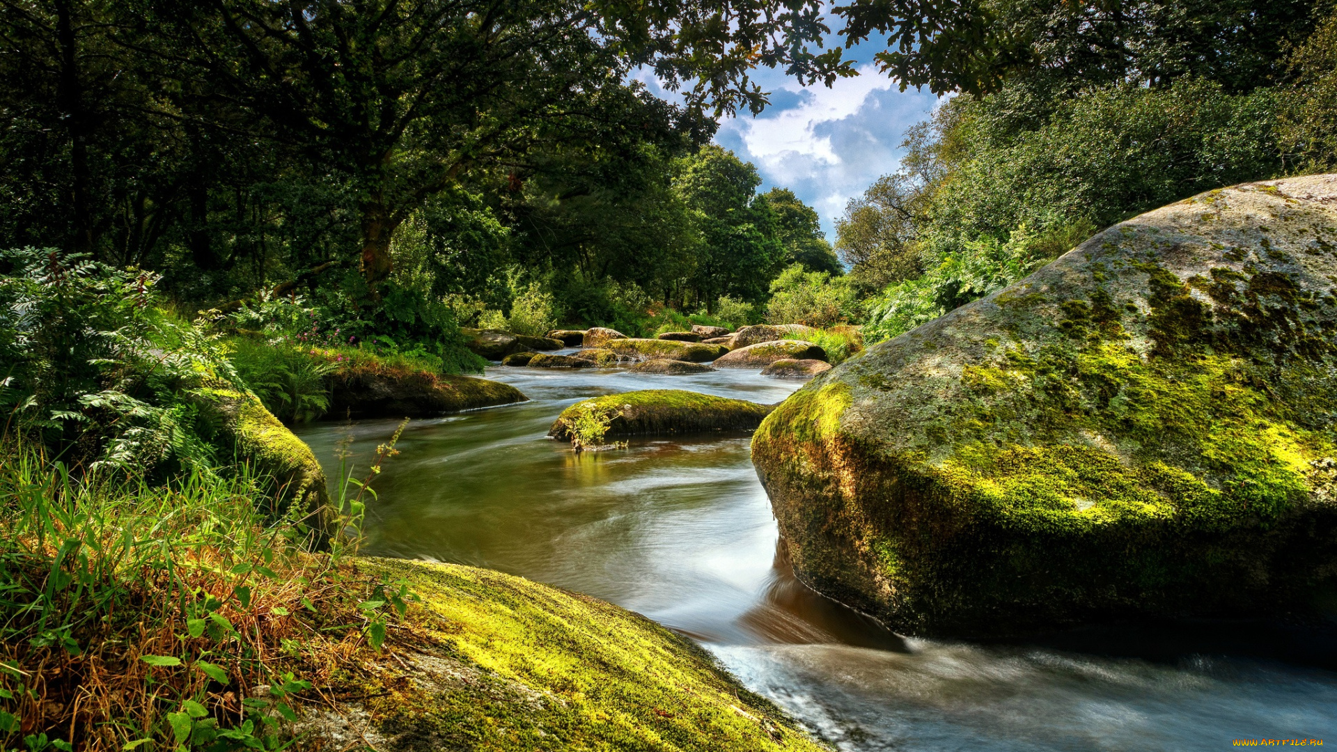 природа, реки, озера, простор