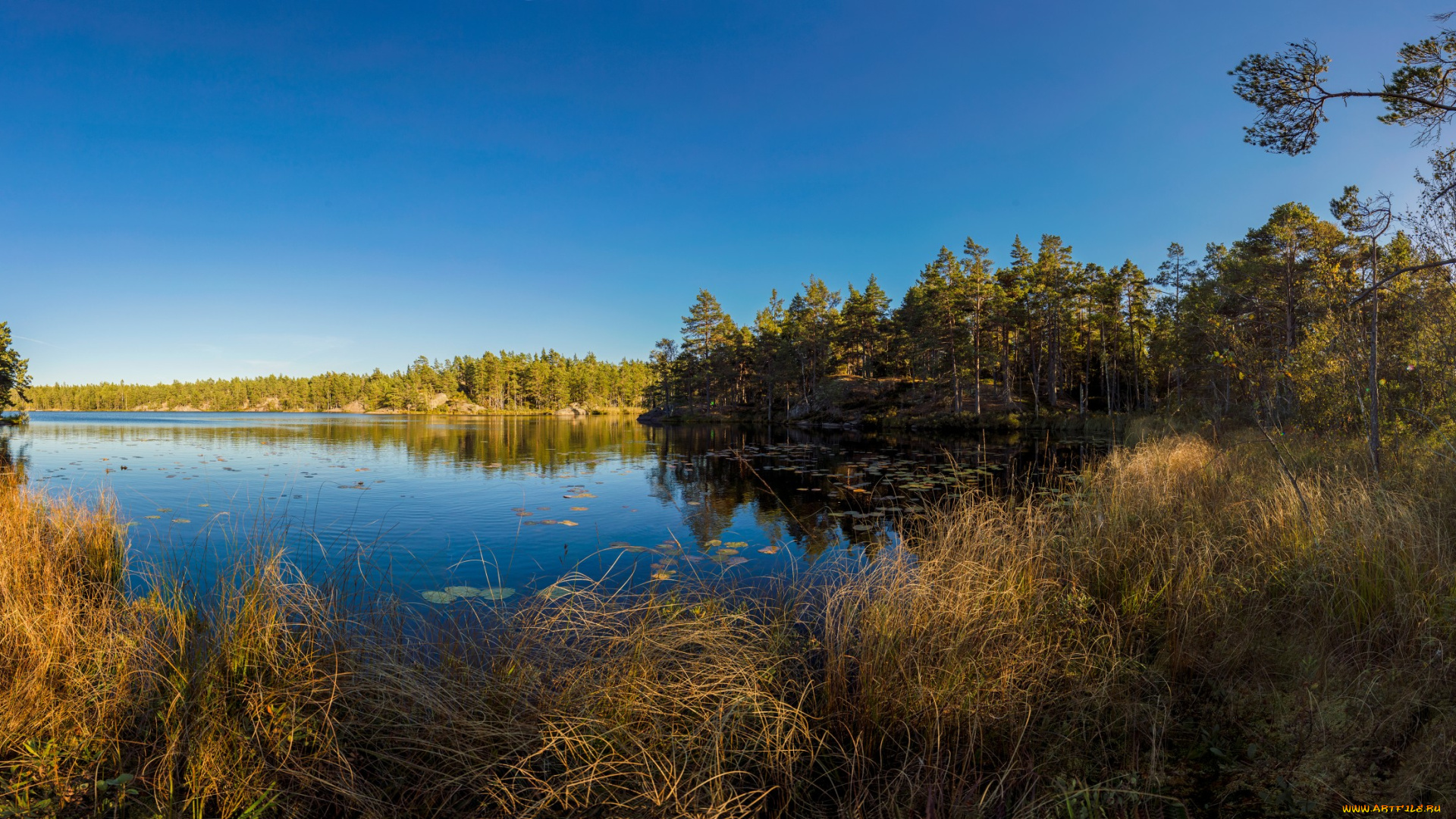 природа, реки, озера, простор