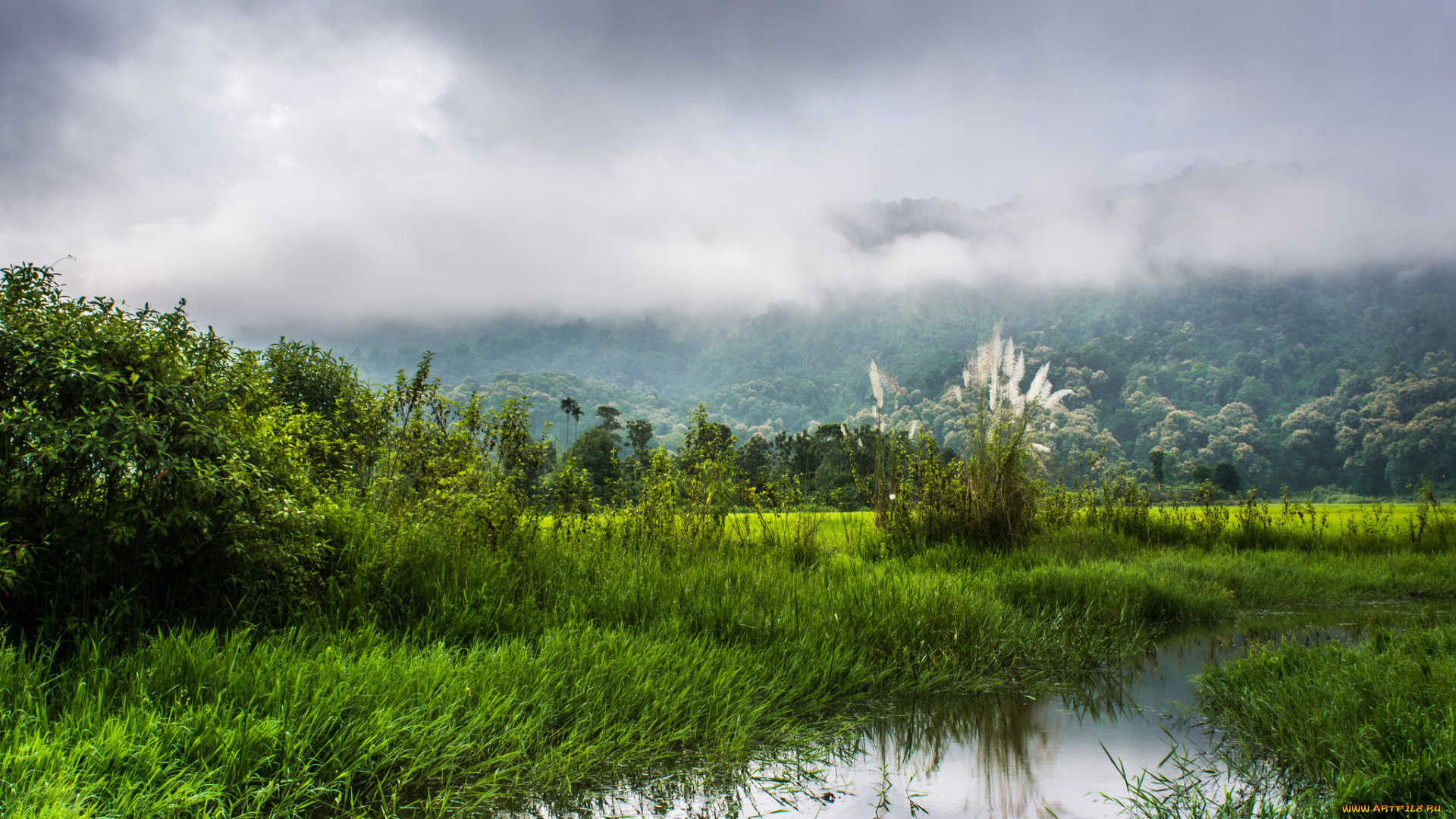 природа, реки, озера, простор